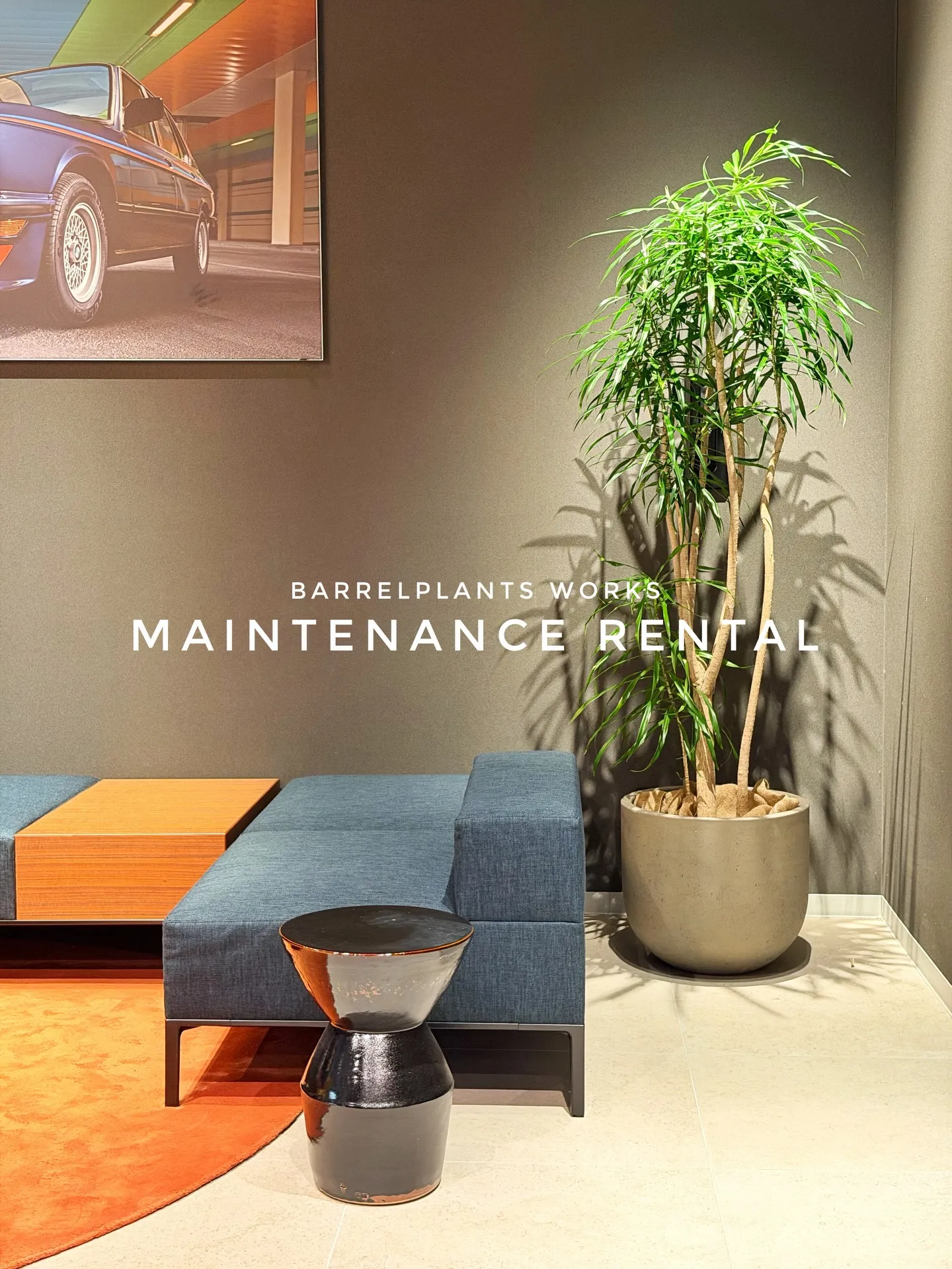 「空間価値を高める、BARRELPLANTS のメンテナンス...