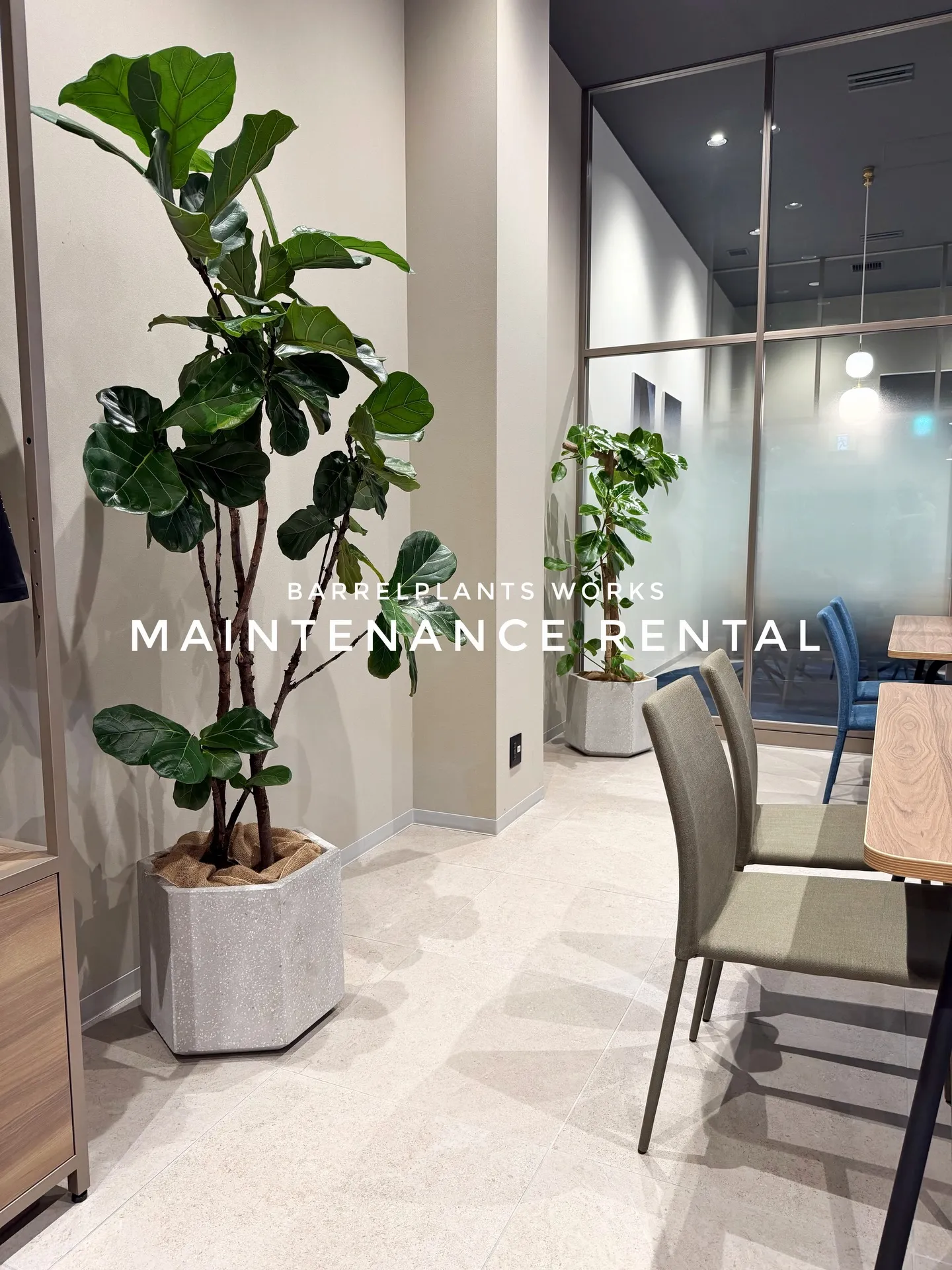 「空間価値を高める、BARRELPLANTS のメンテナンス...