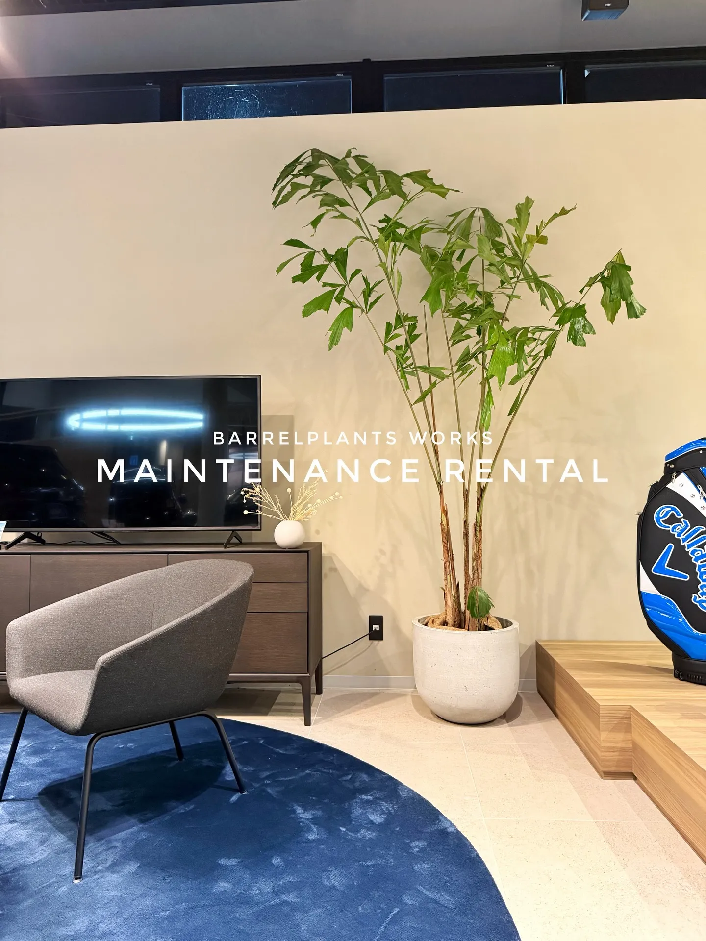 「空間価値を高める、BARRELPLANTS のメンテナンス...