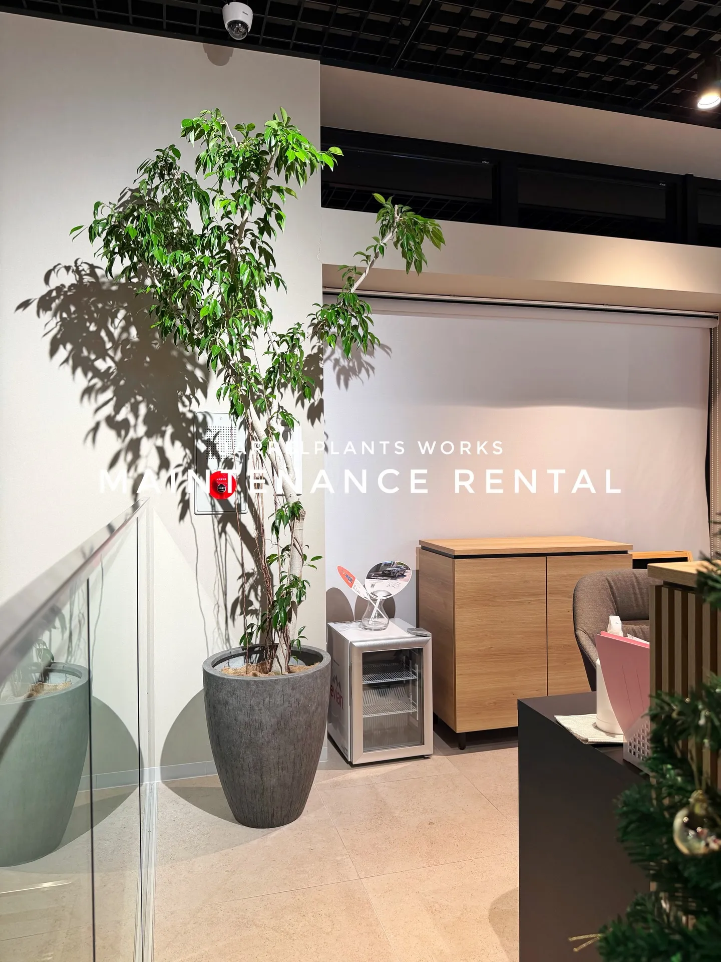 「空間価値を高める、BARRELPLANTS のメンテナンス...