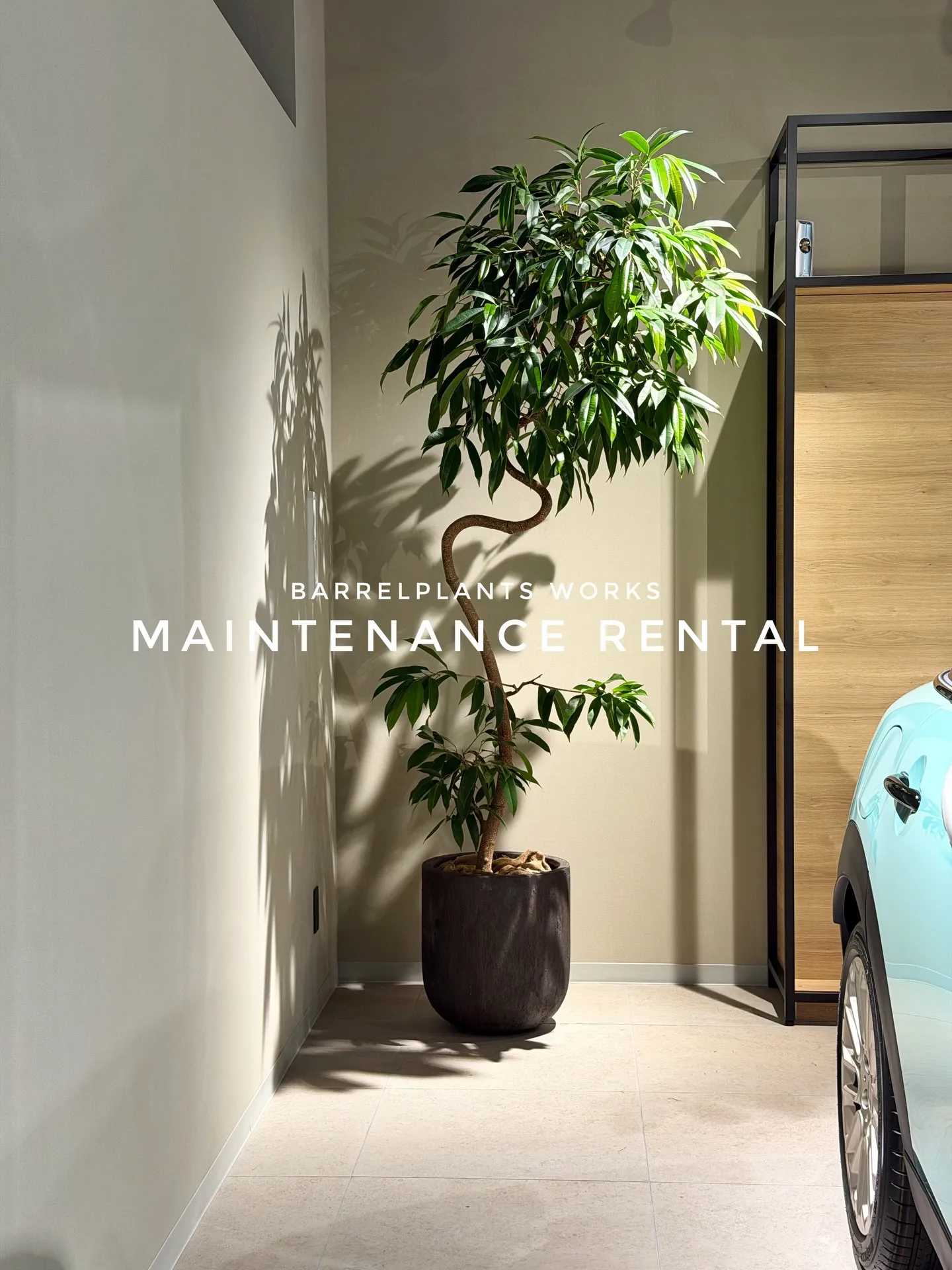 「空間価値を高める、BARRELPLANTS のメンテナンス...