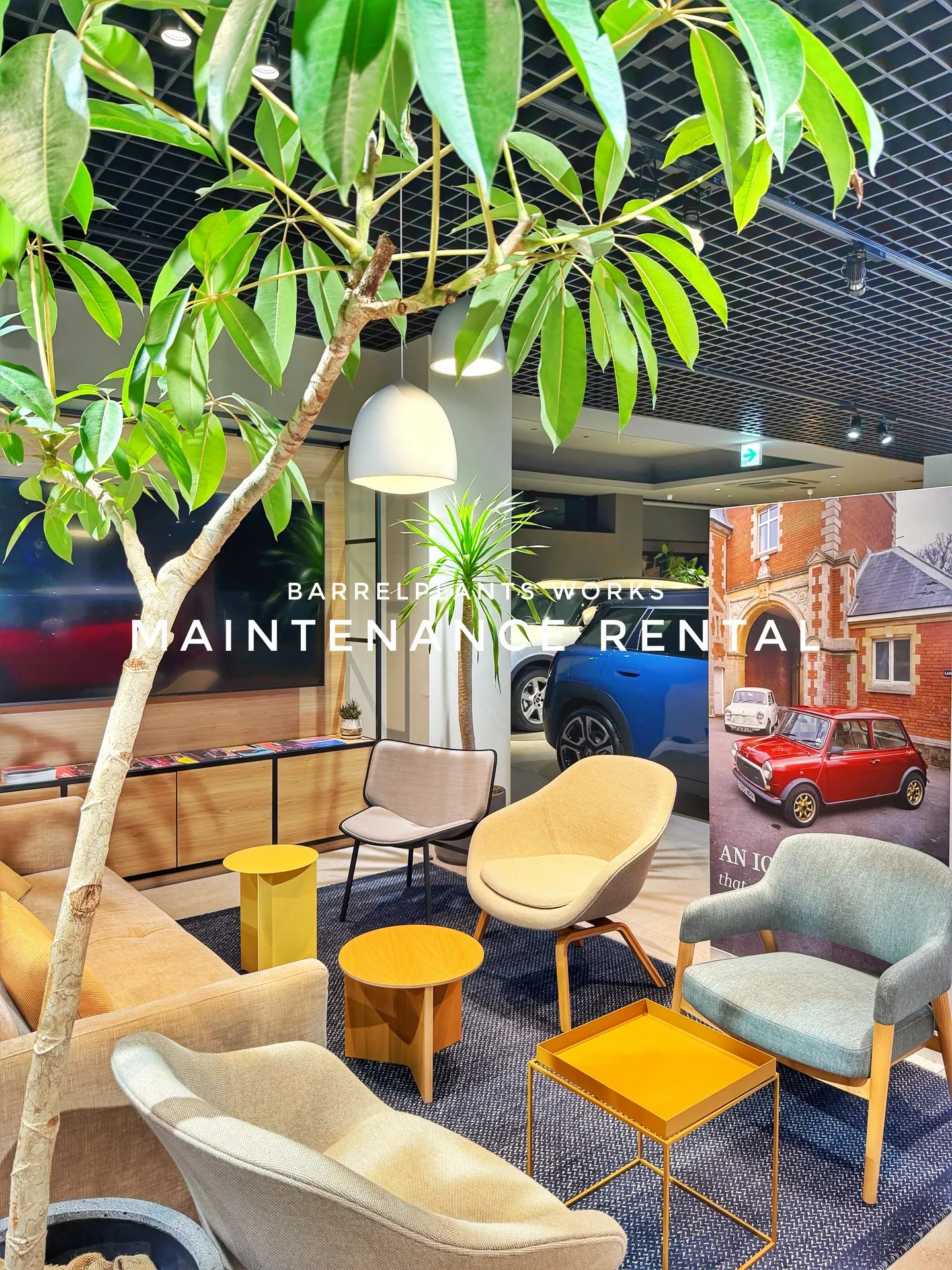 「空間価値を高める、BARRELPLANTS のメンテナンス...