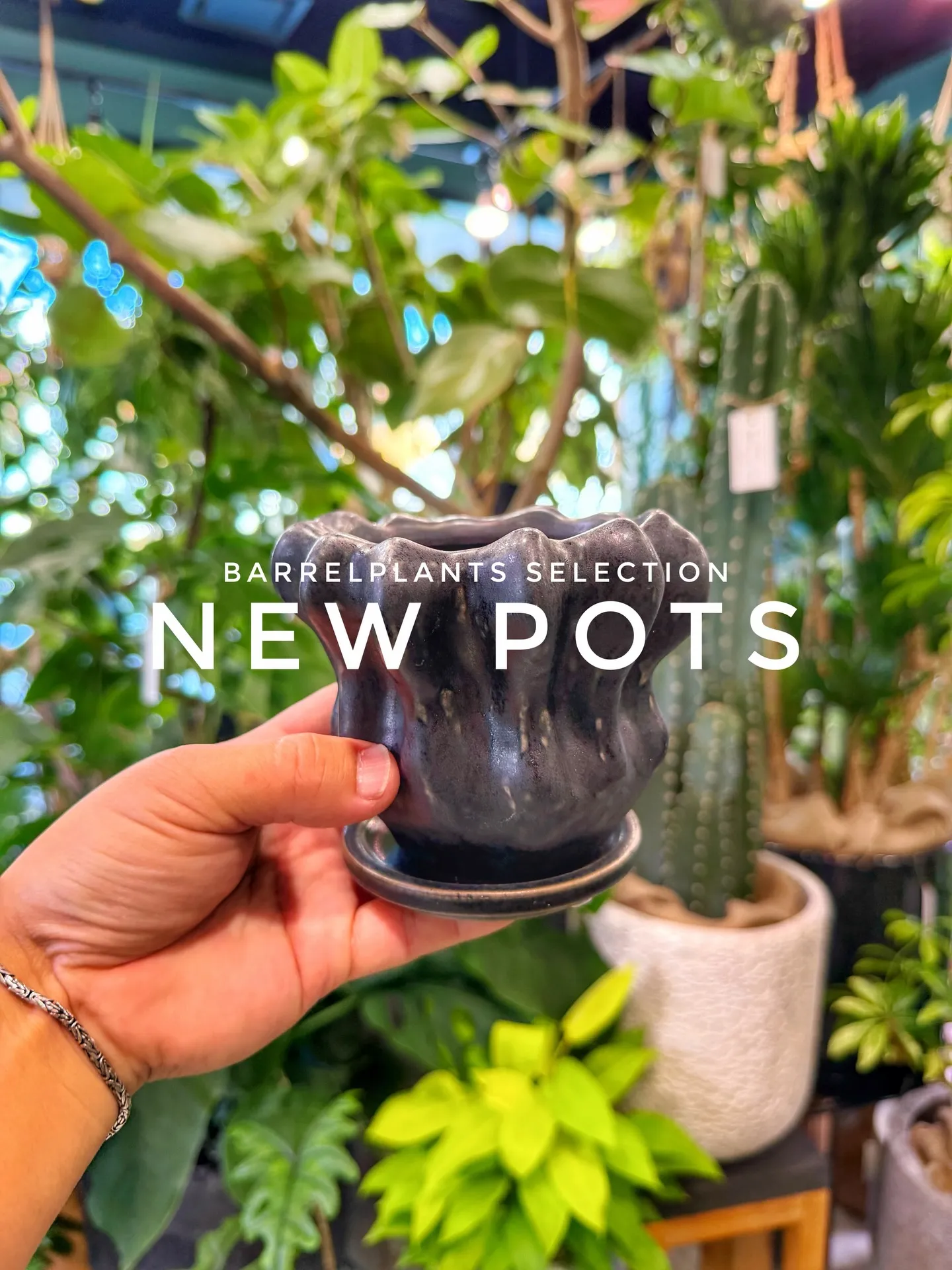 「植え替えがもっと楽しくなる、個性派ポット入荷。