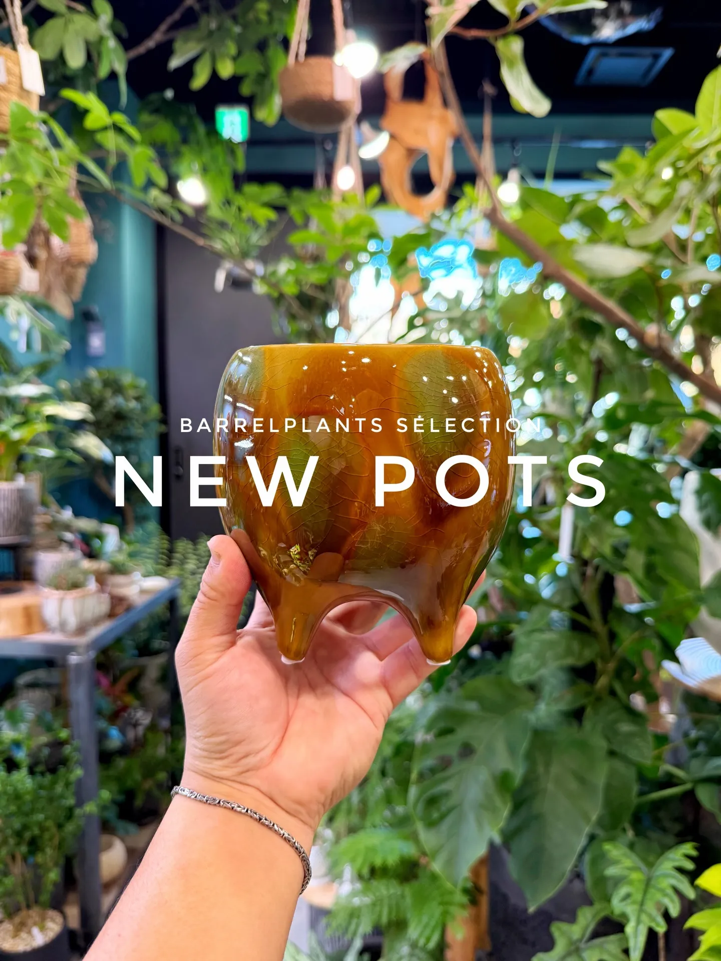 「植え替えがもっと楽しくなる、個性派ポット入荷。