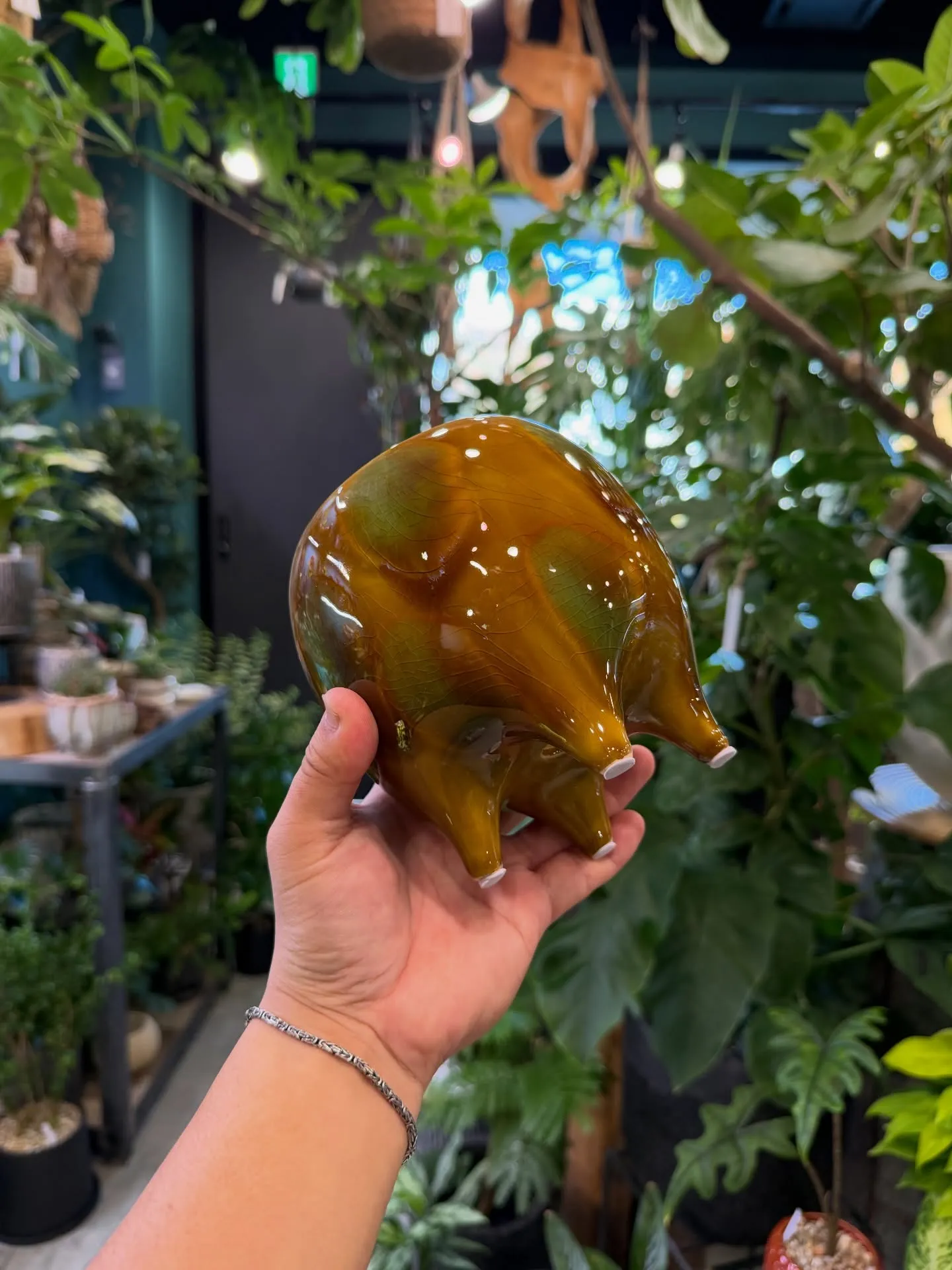 「植え替えがもっと楽しくなる、個性派ポット入荷。