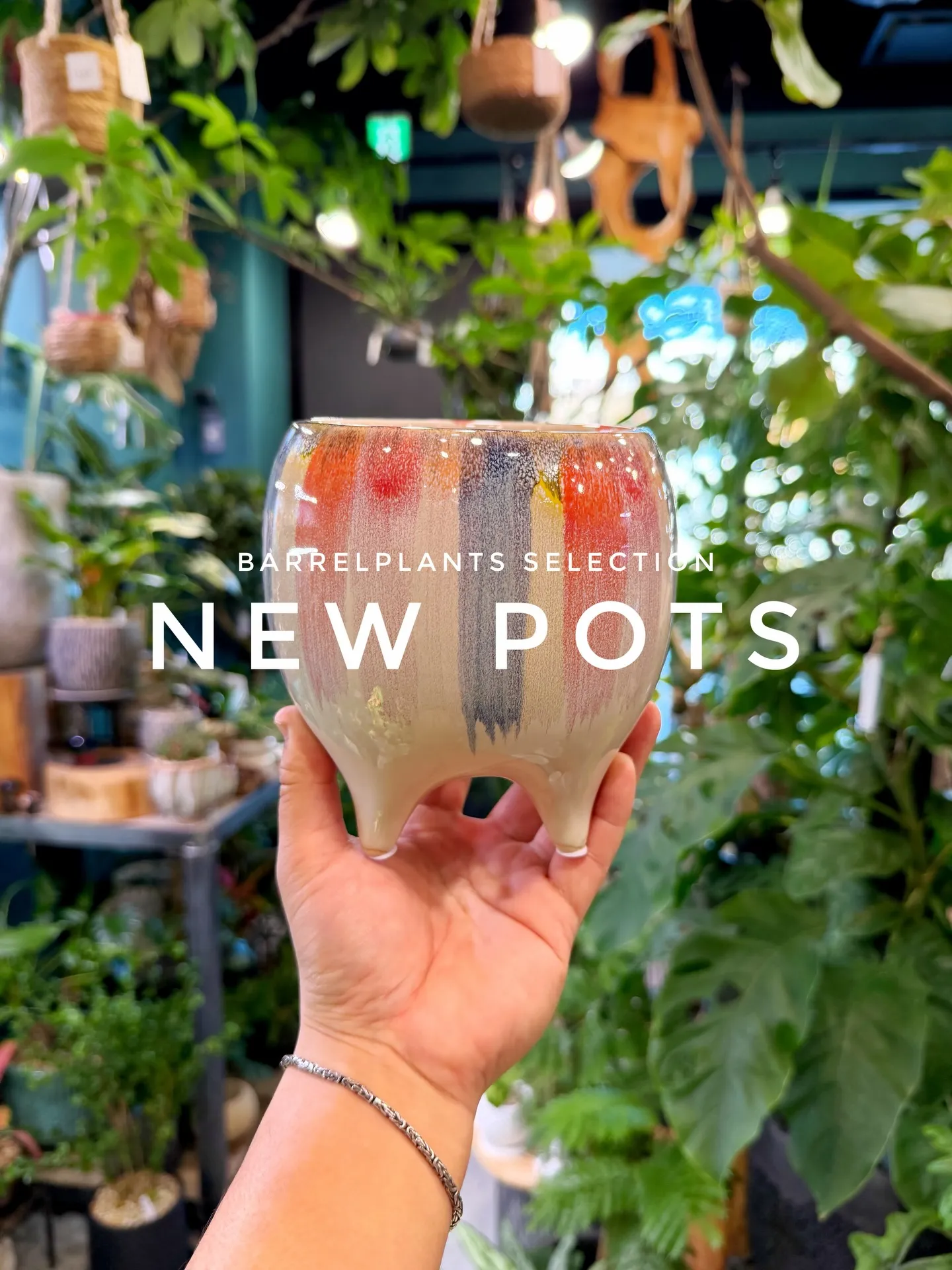 「植え替えがもっと楽しくなる、個性派ポット入荷。