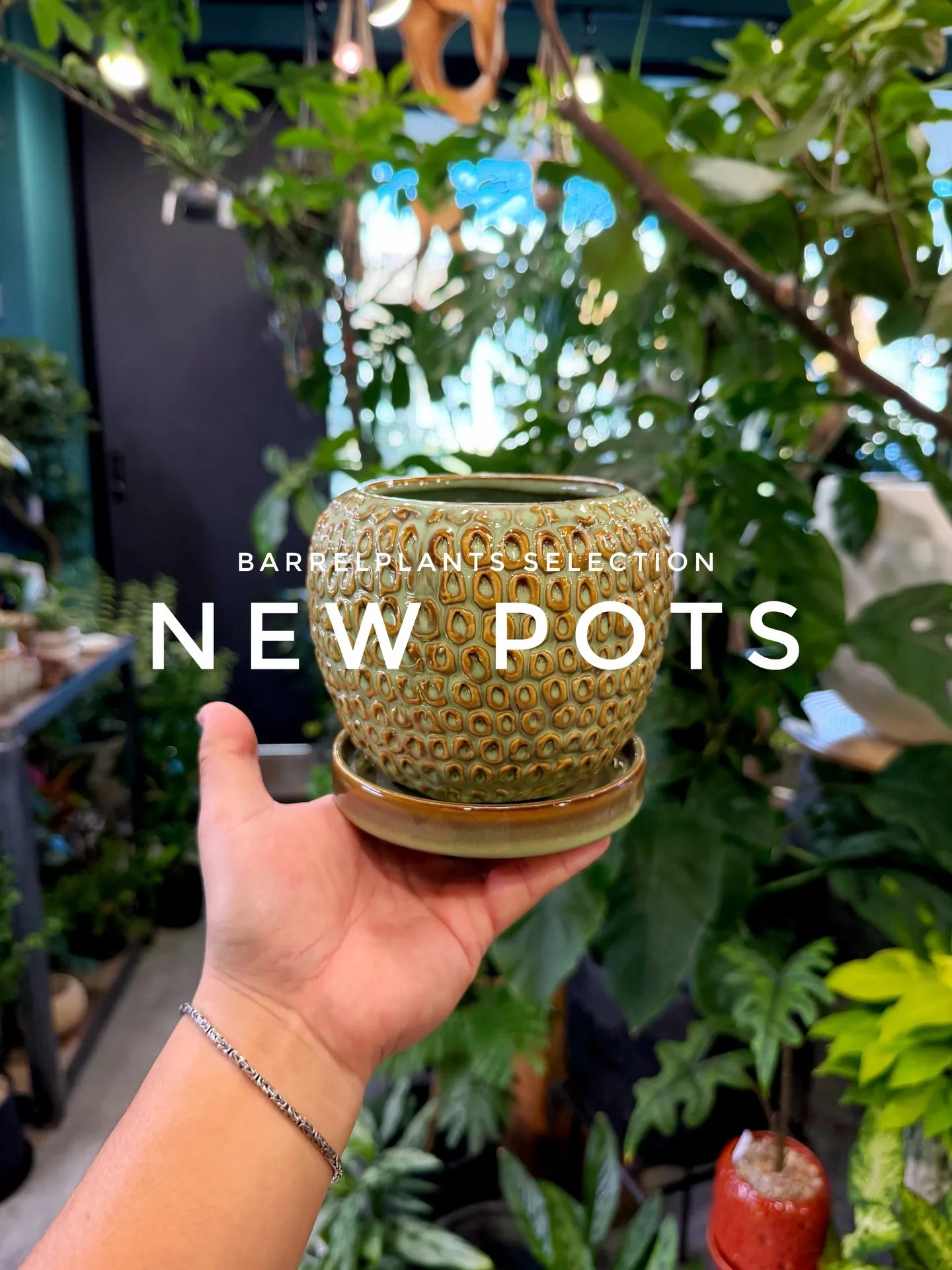 「植え替えがもっと楽しくなる、個性派ポット入荷。