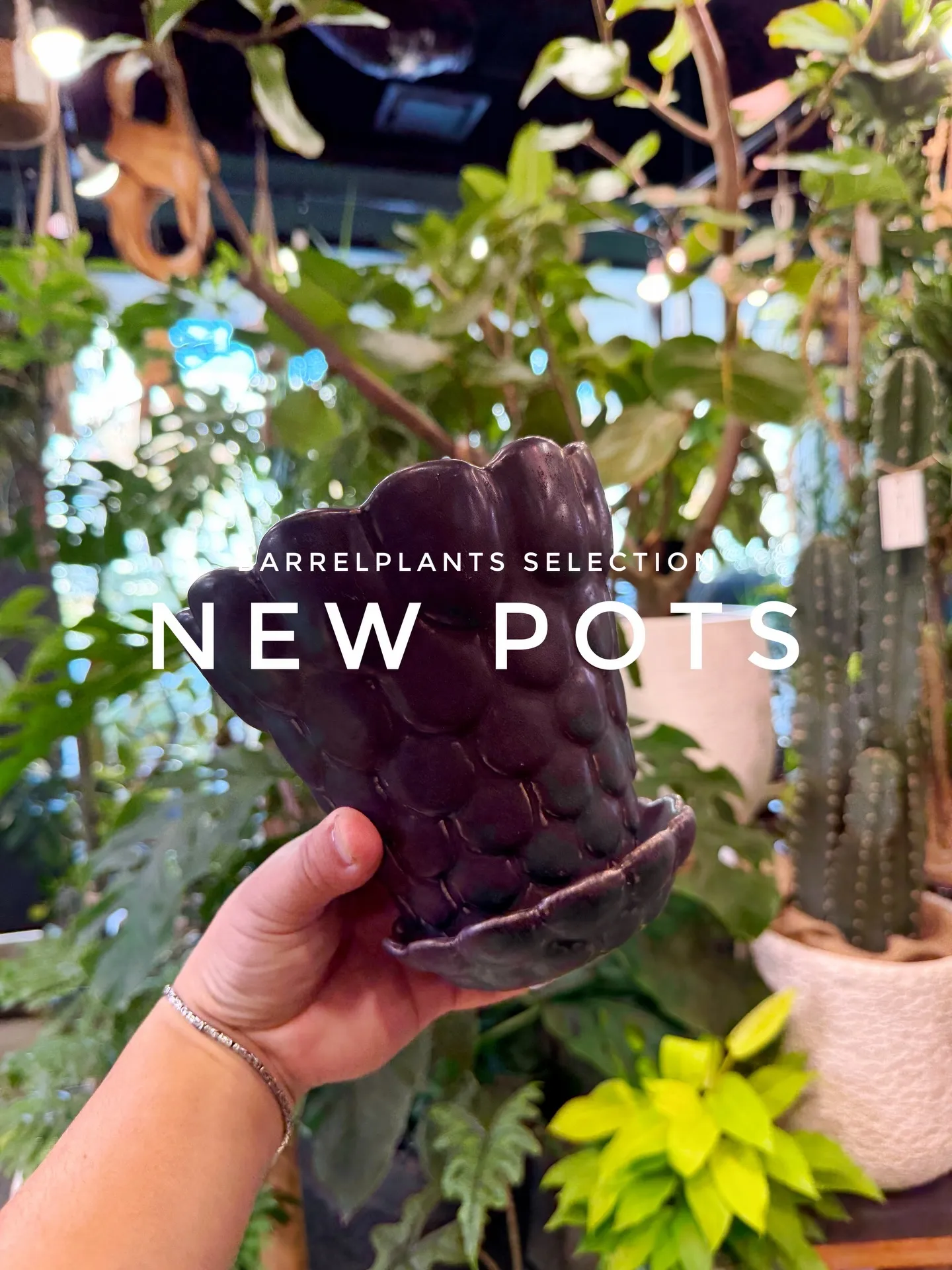 「植え替えがもっと楽しくなる、個性派ポット入荷。