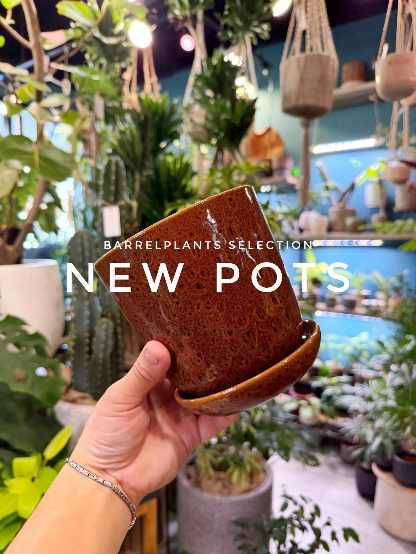 「植え替えがもっと楽しくなる、個性派ポット入荷。