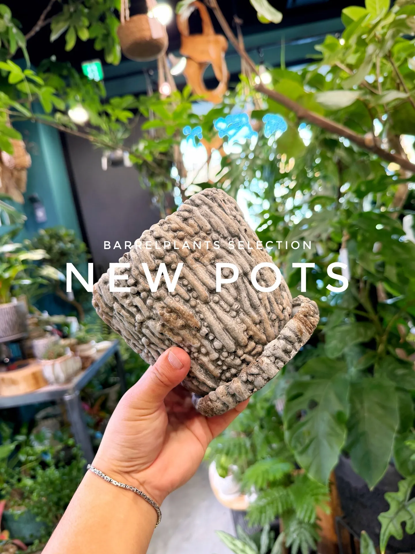 「植え替えがもっと楽しくなる、個性派ポット入荷。