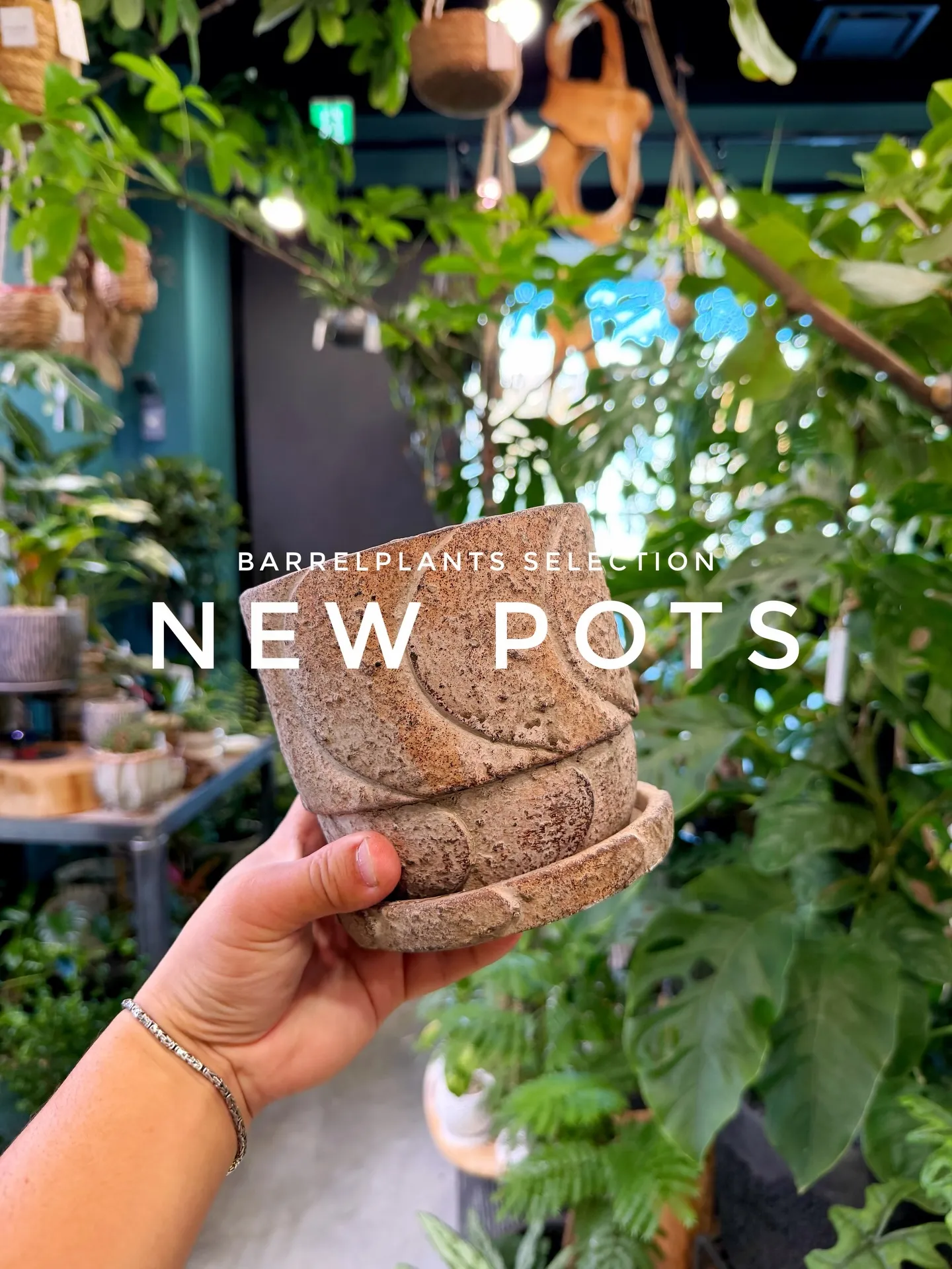 「植え替えがもっと楽しくなる、個性派ポット入荷。