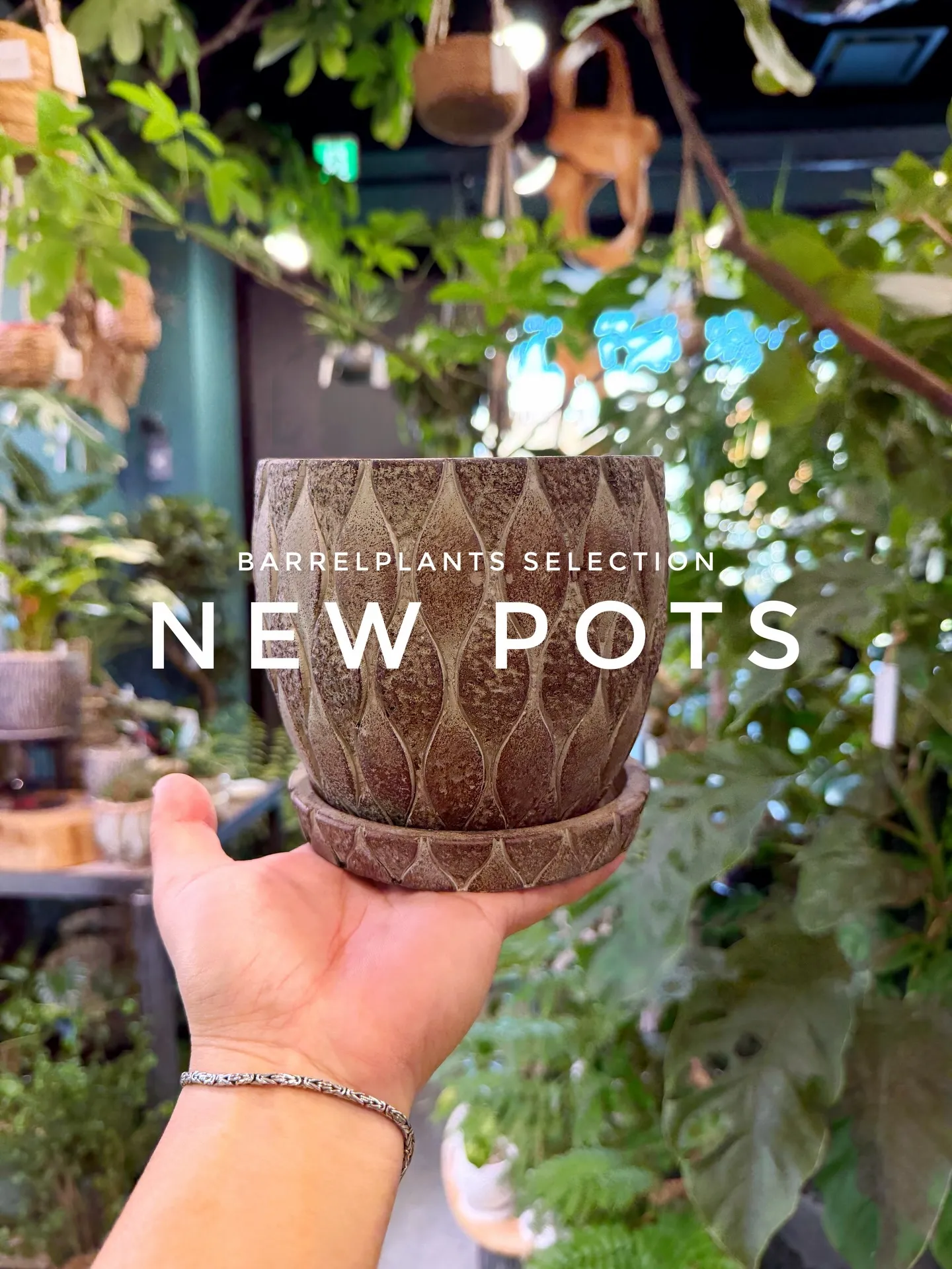 「植え替えがもっと楽しくなる、個性派ポット入荷。