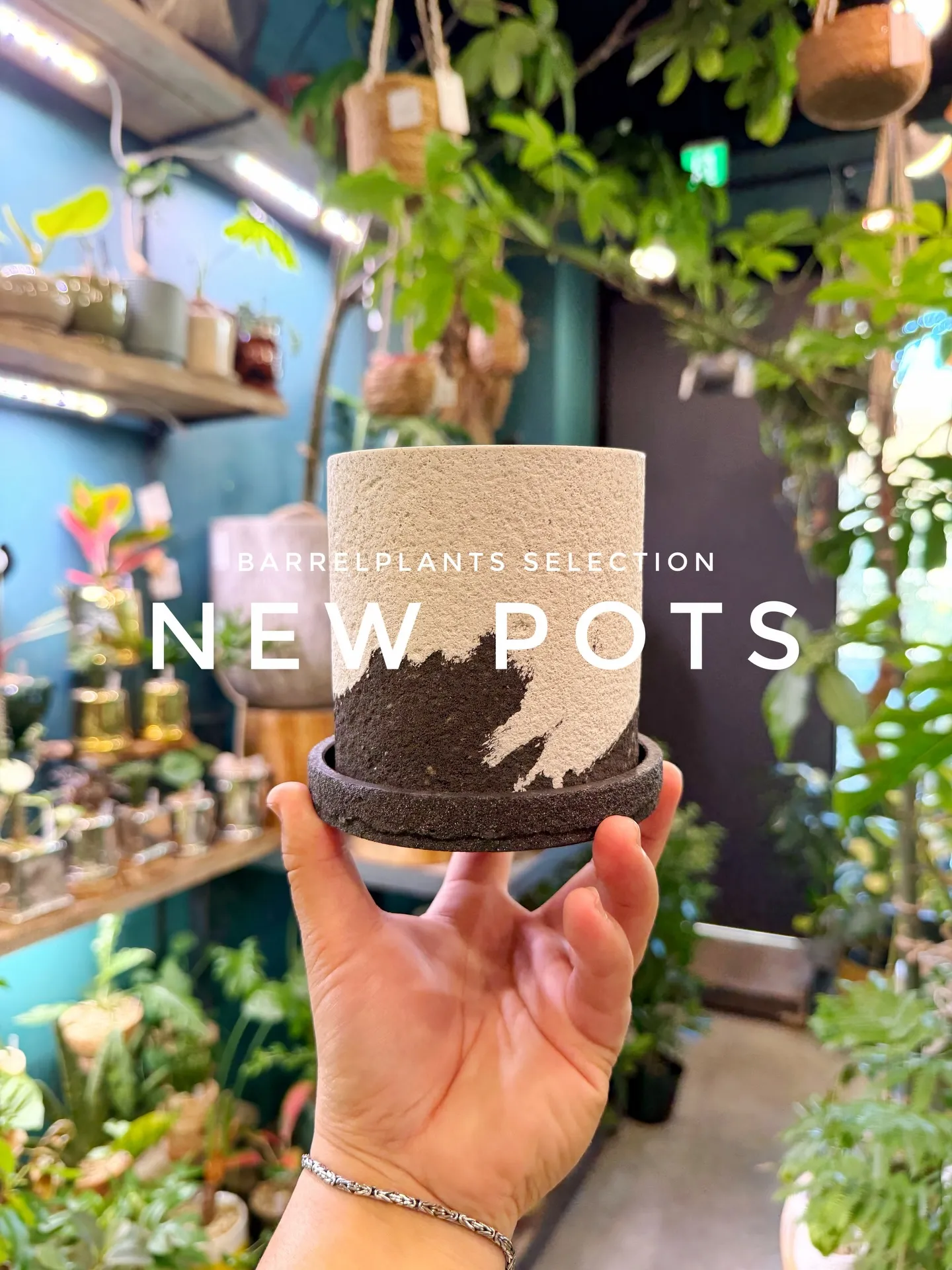 「植え替えがもっと楽しくなる、個性派ポット入荷。