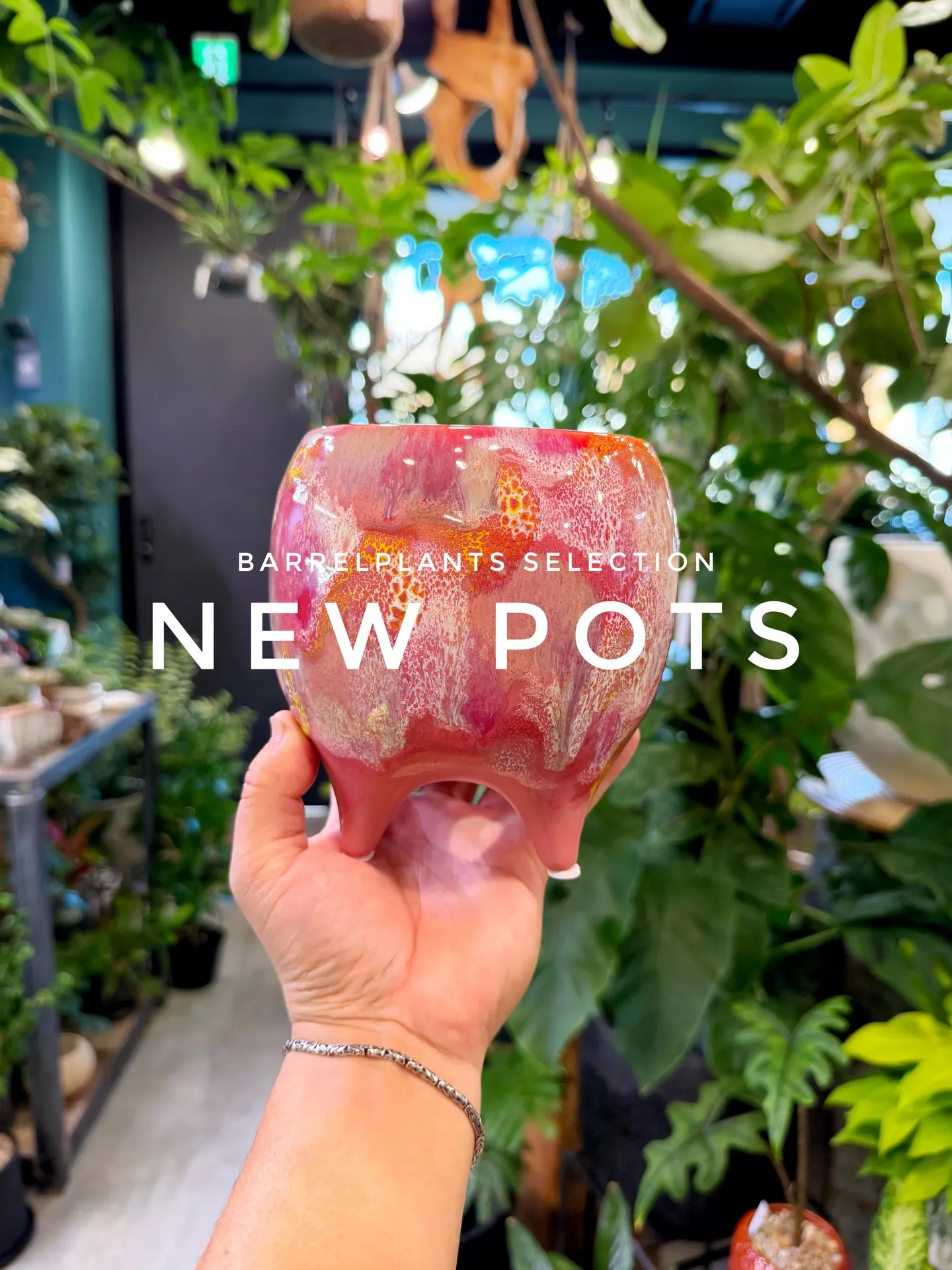 「植え替えがもっと楽しくなる、個性派ポット入荷。