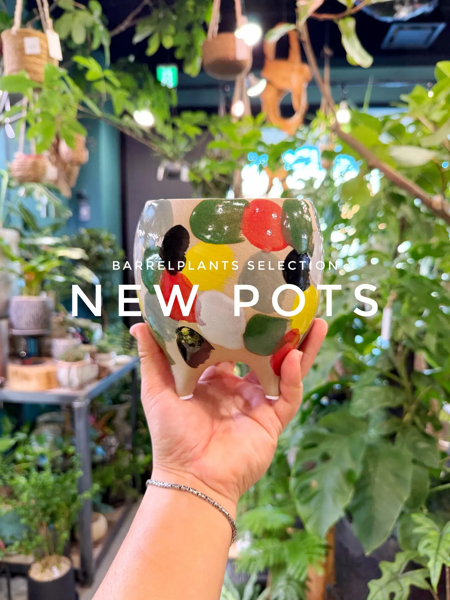 「植え替えがもっと楽しくなる、個性派ポット入荷。