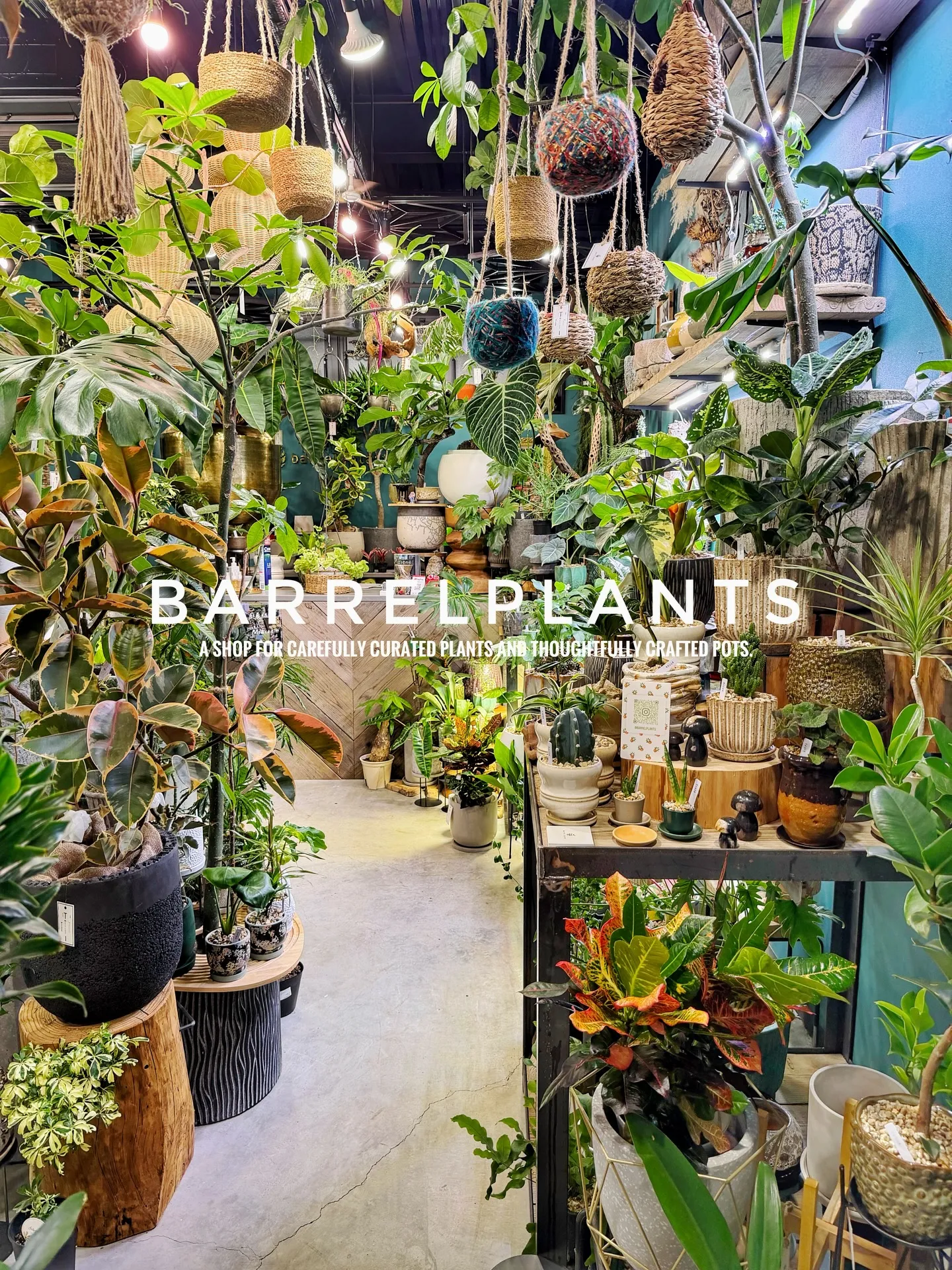 「こだわりの植物と鉢で、空間をアップデートしました。