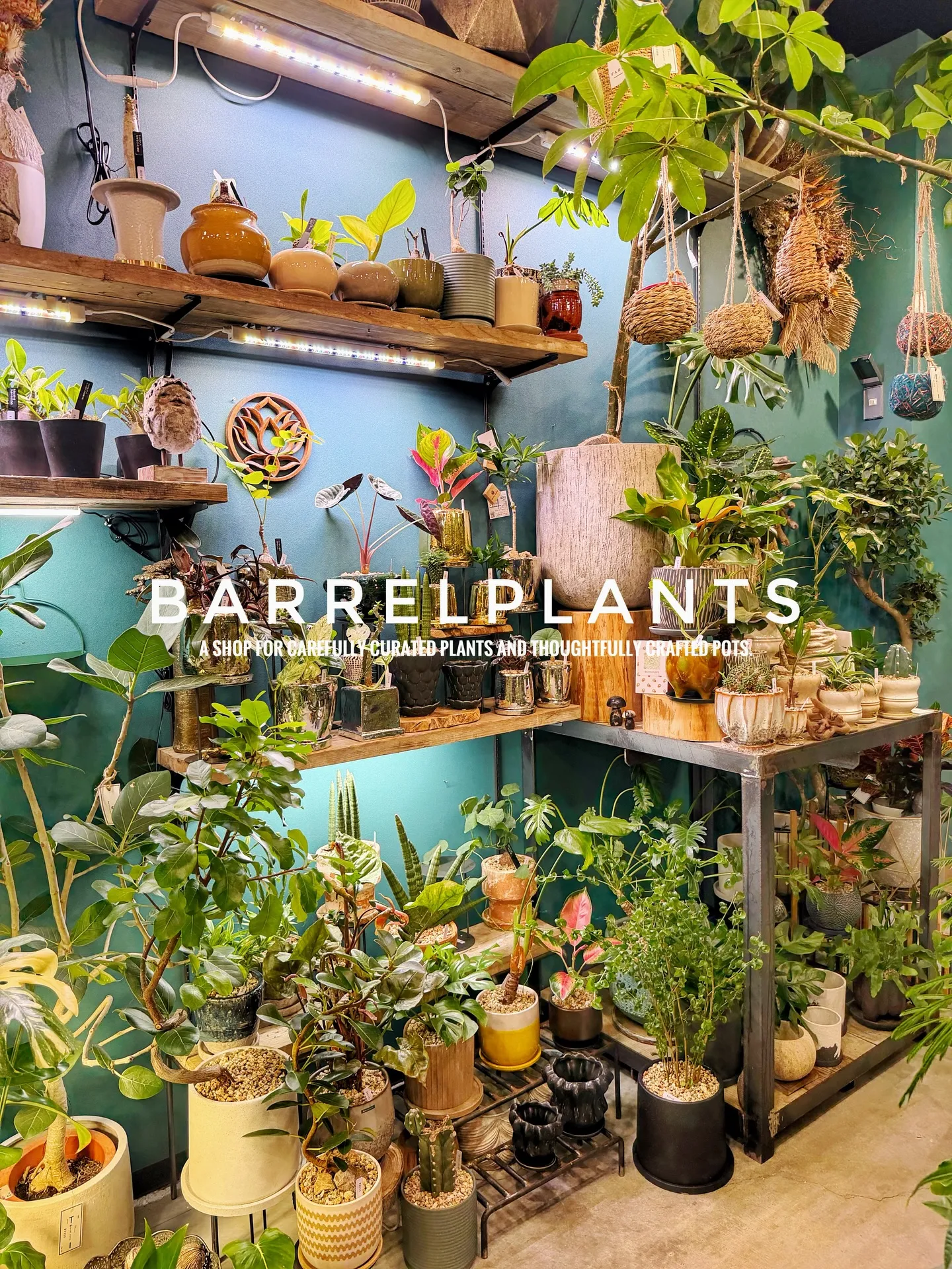 「こだわりの植物と鉢で、空間をアップデートしました。