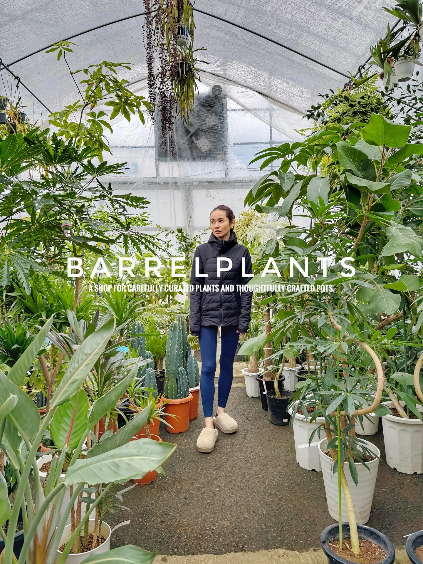 「こだわりの植物と鉢で、空間をアップデートしました。