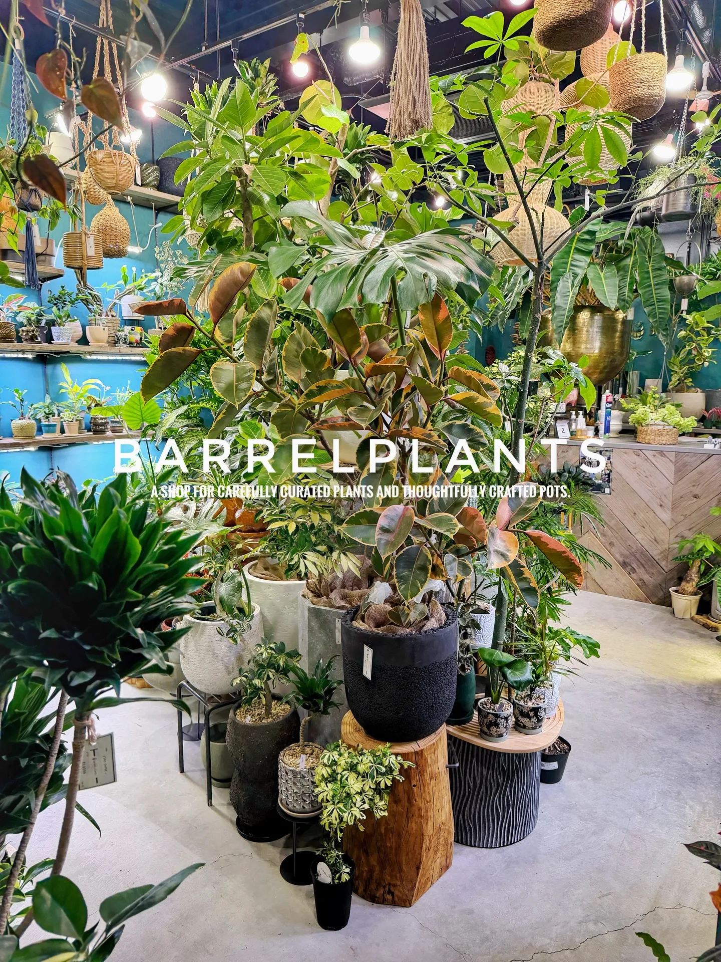 「こだわりの植物と鉢で、空間をアップデートしました。