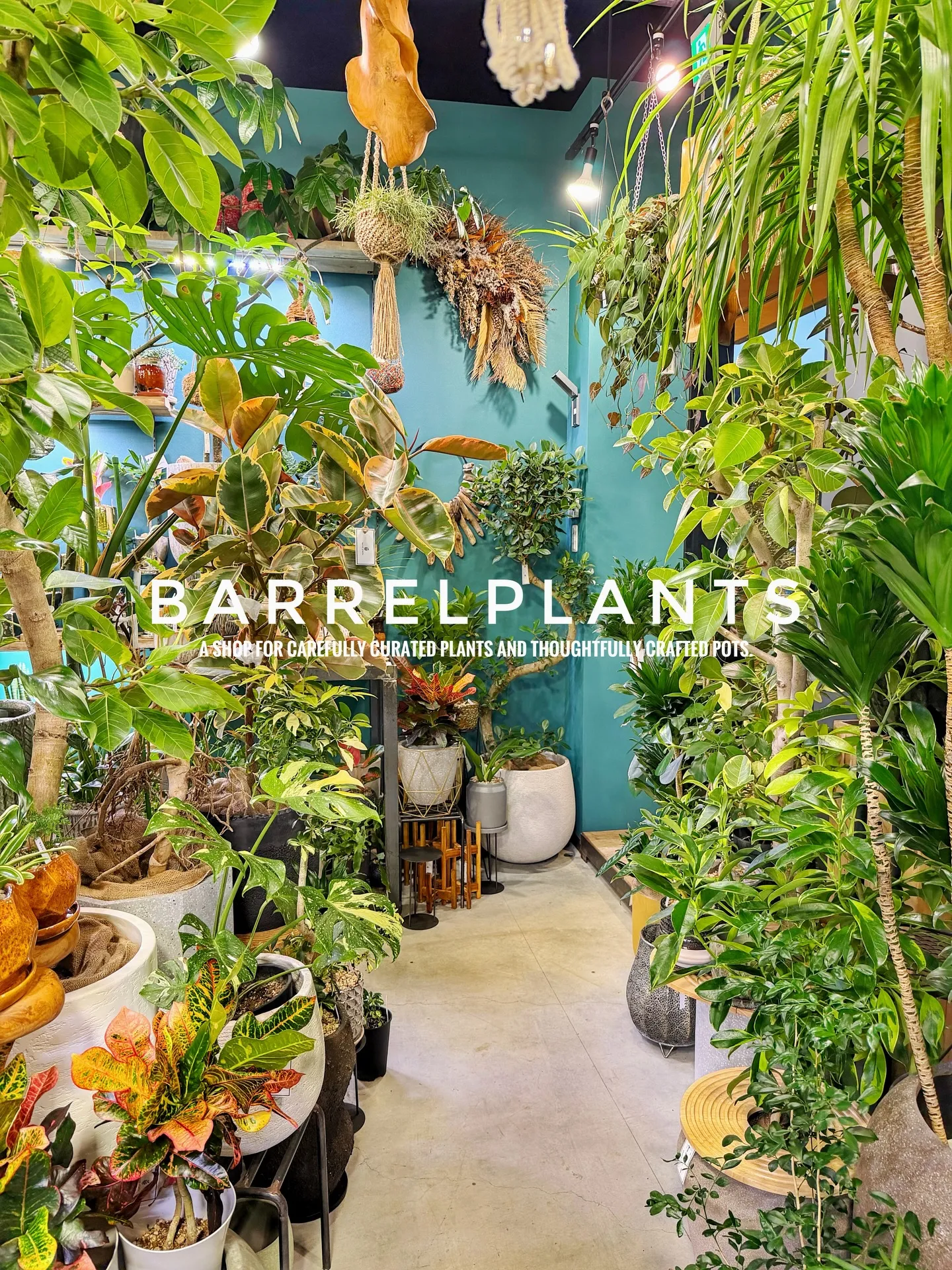 「こだわりの植物と鉢で、空間をアップデートしました。