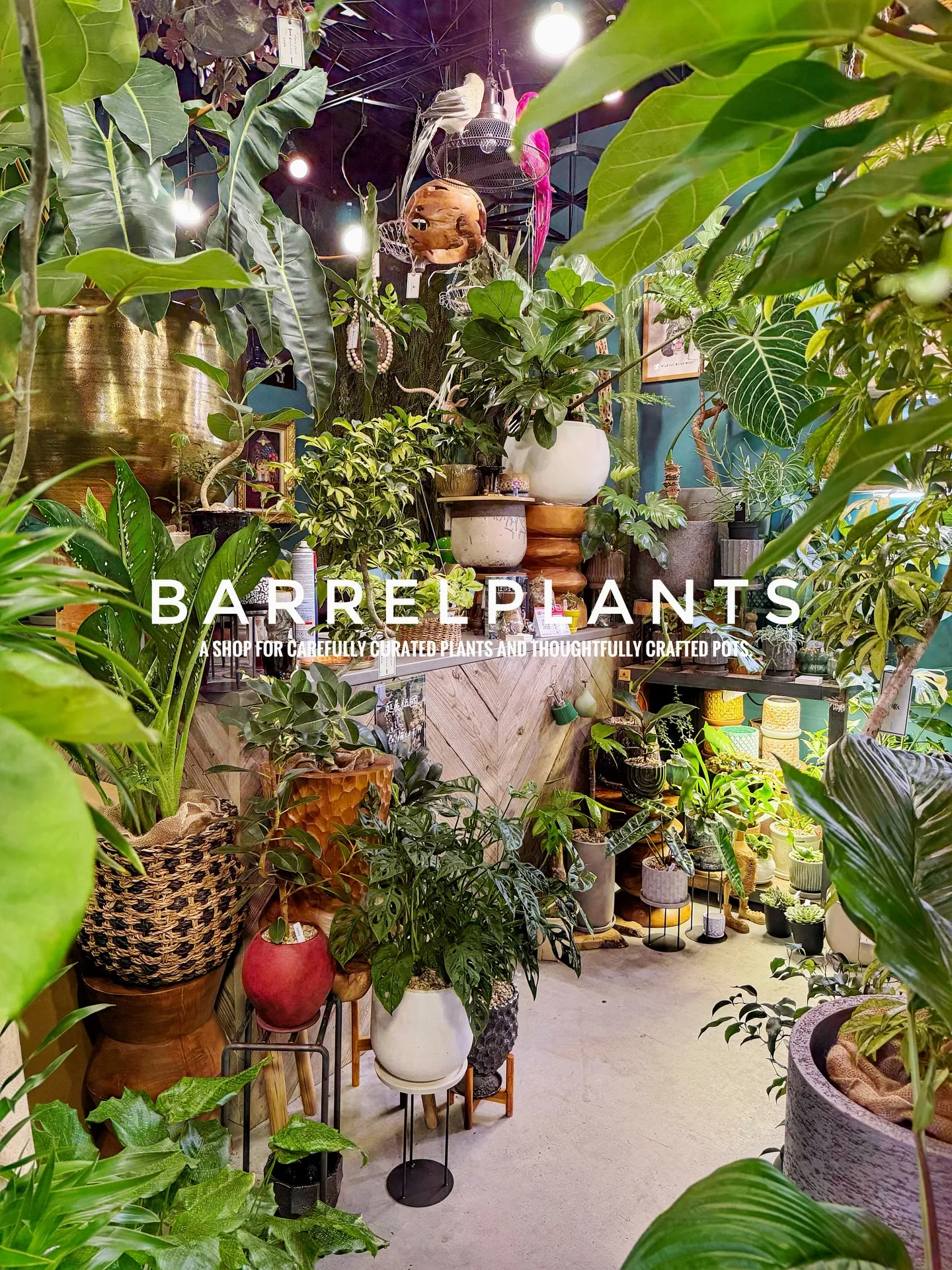 「こだわりの植物と鉢で、空間をアップデートしました。