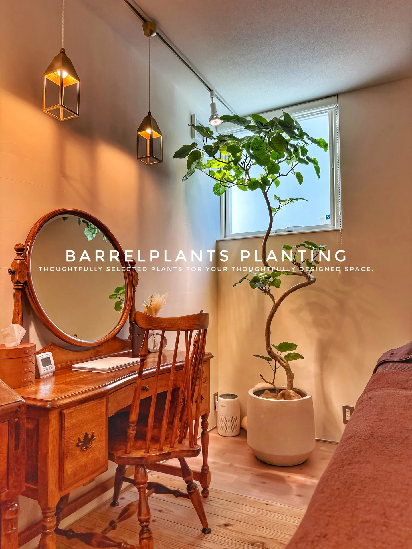 「空間に寄り添う、こだわりの一鉢を。