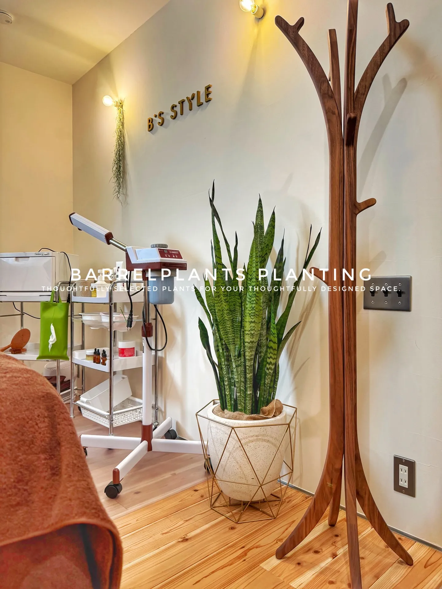 「空間に寄り添う、こだわりの一鉢を。