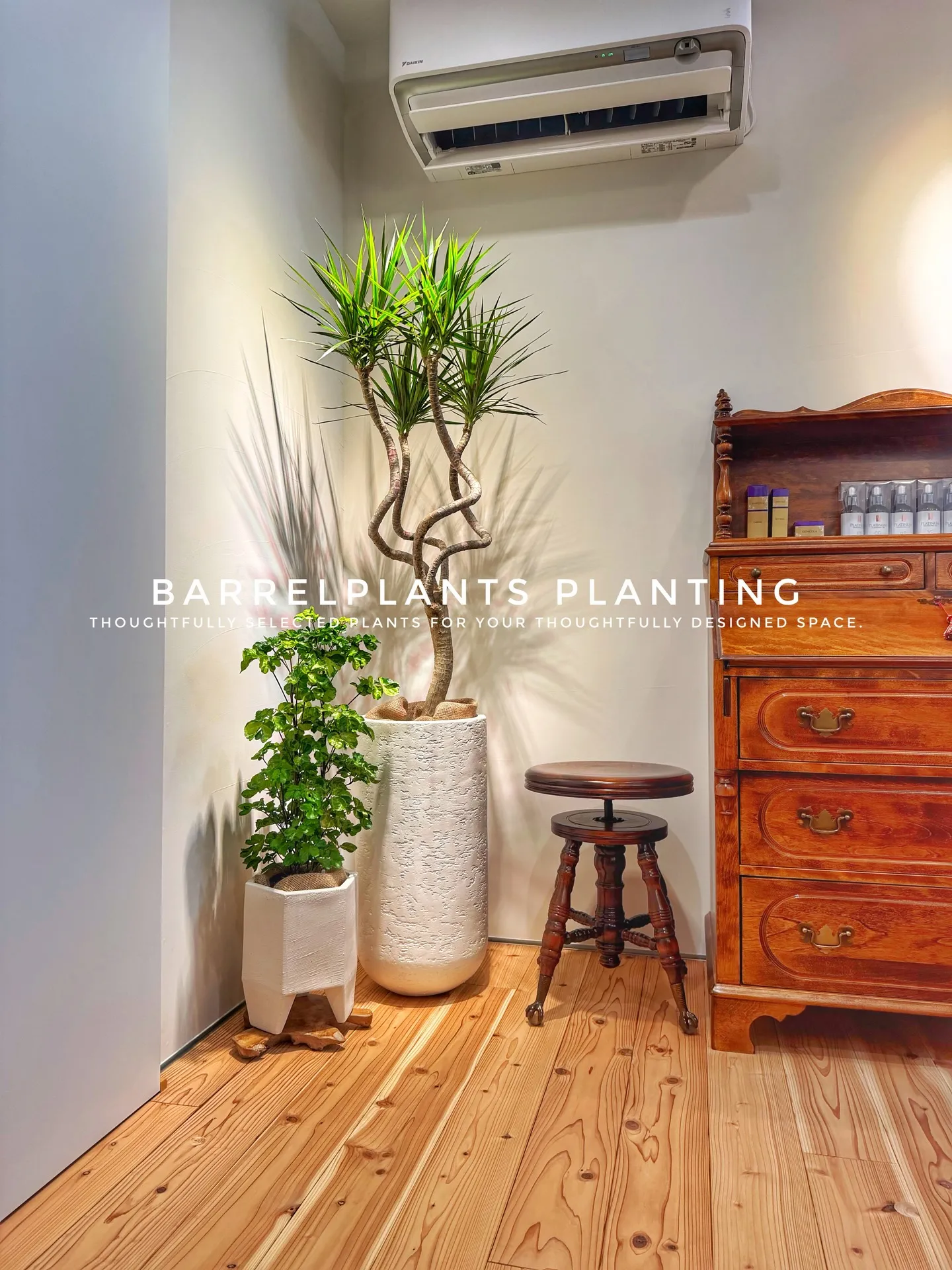 「空間に寄り添う、こだわりの一鉢を。