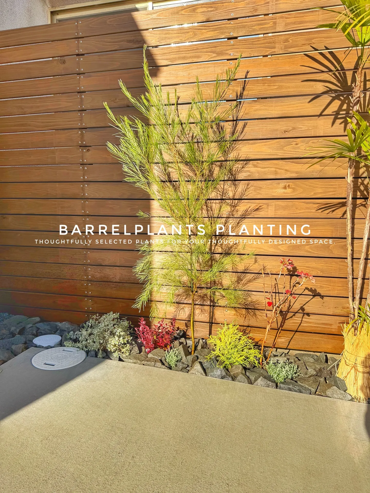 「空間に寄り添う、こだわりの一鉢を。