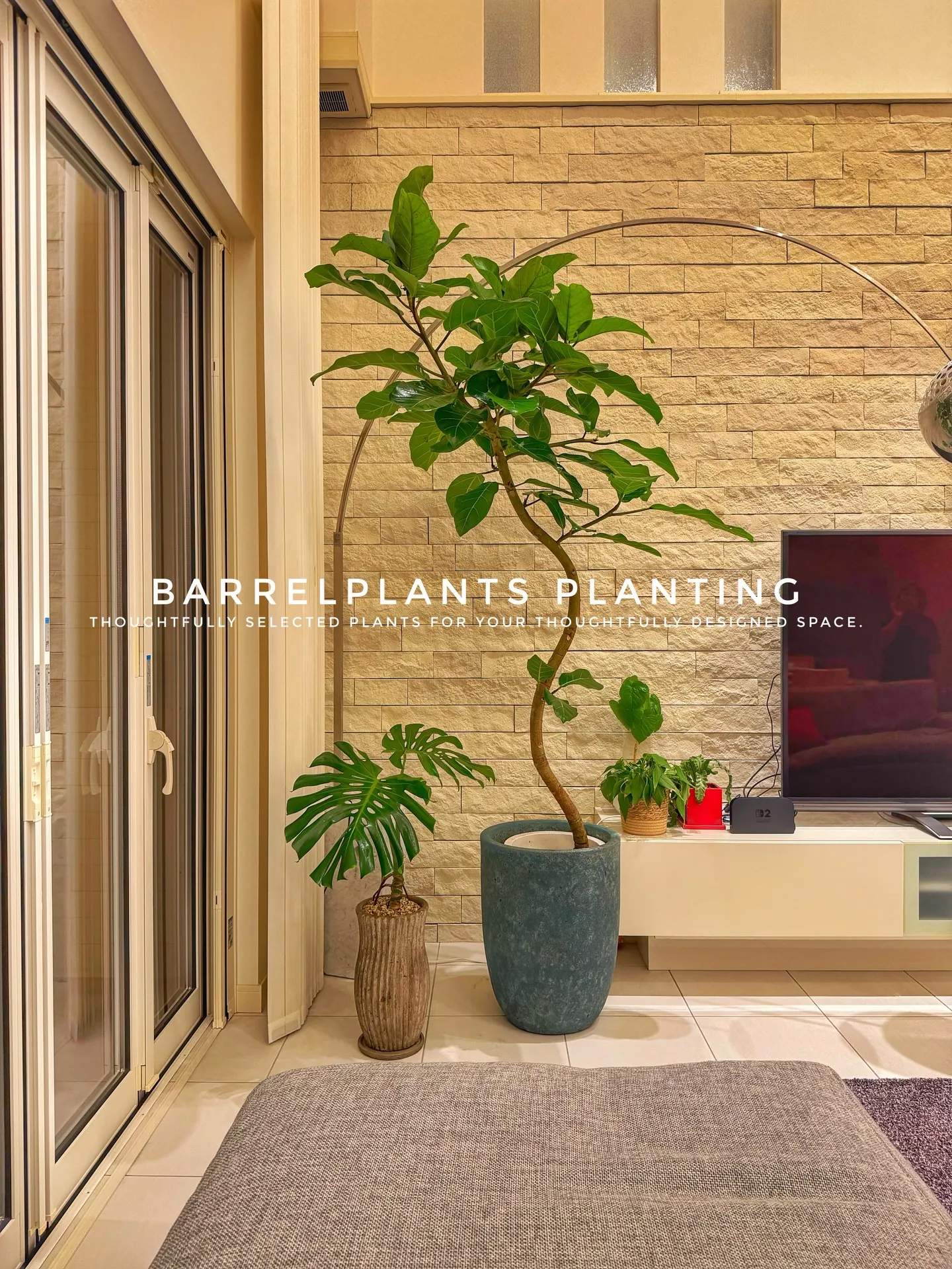 「空間に寄り添う、こだわりの一鉢を。