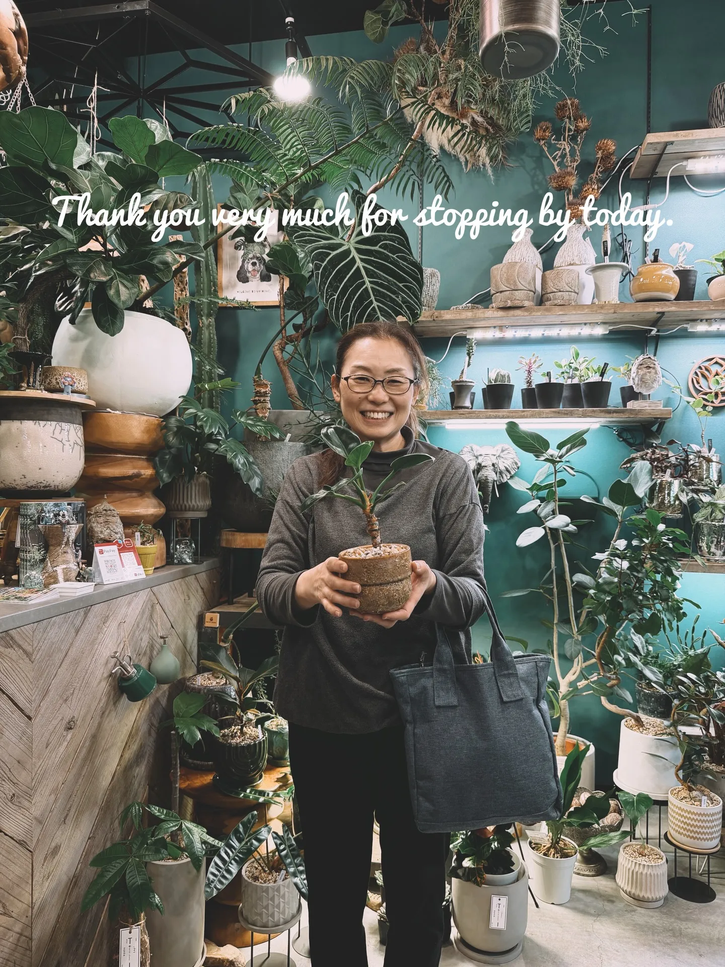 「空間に寄り添う、こだわりの一鉢を。