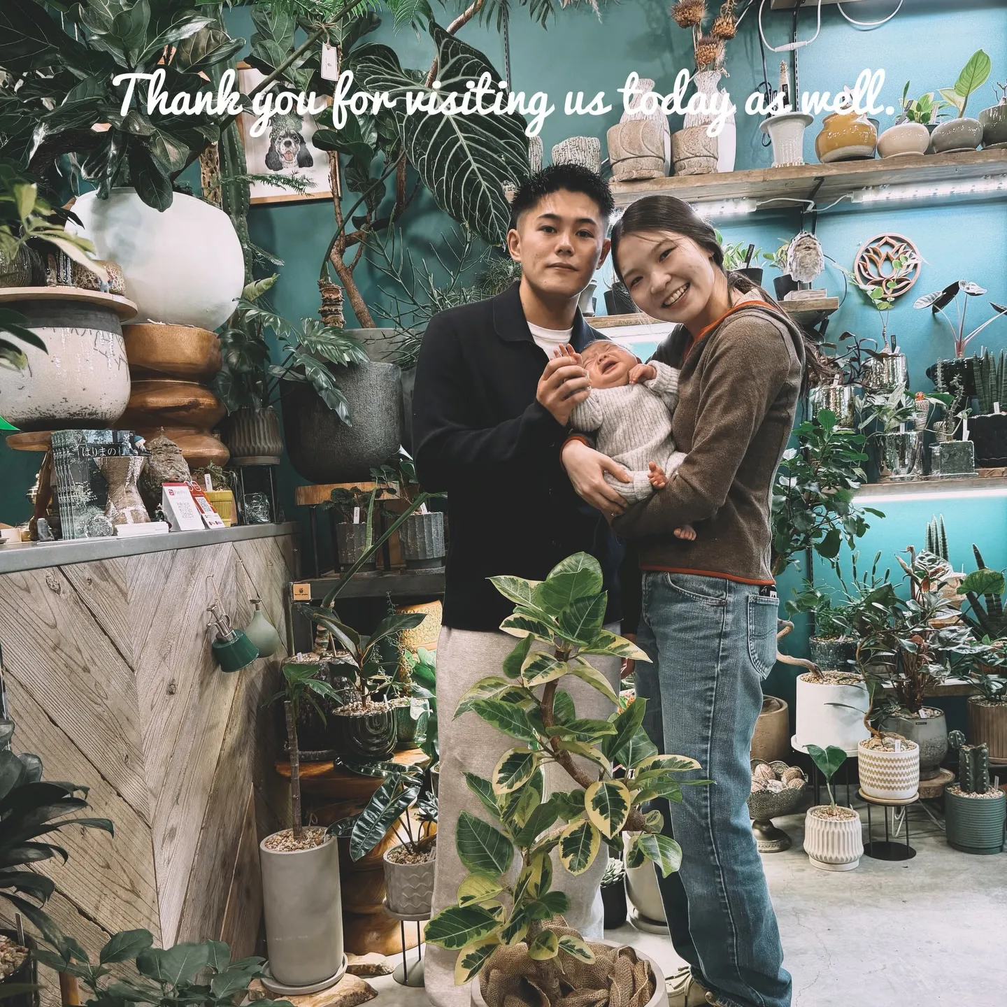 -New Plants Added to the Onlin...