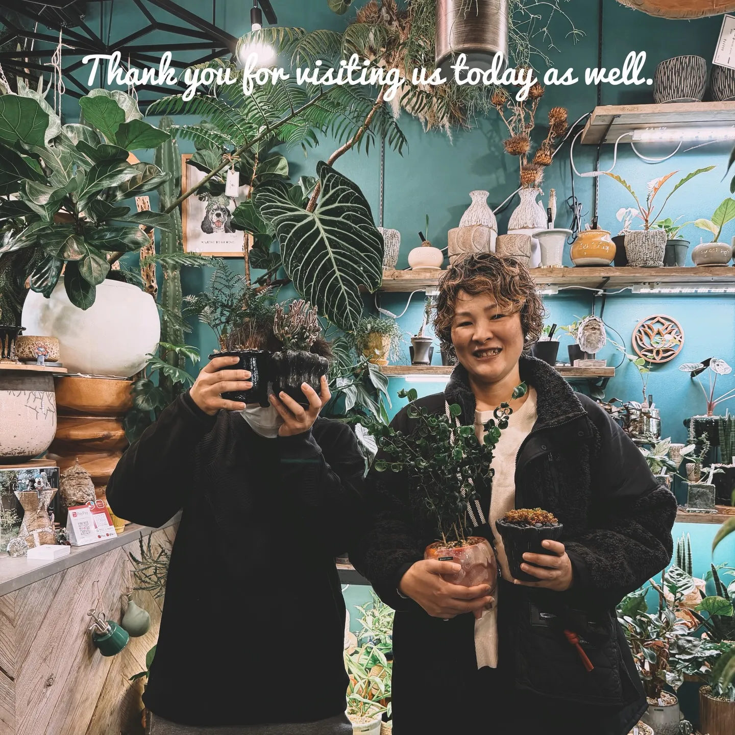 -New Plants Added to the Onlin...