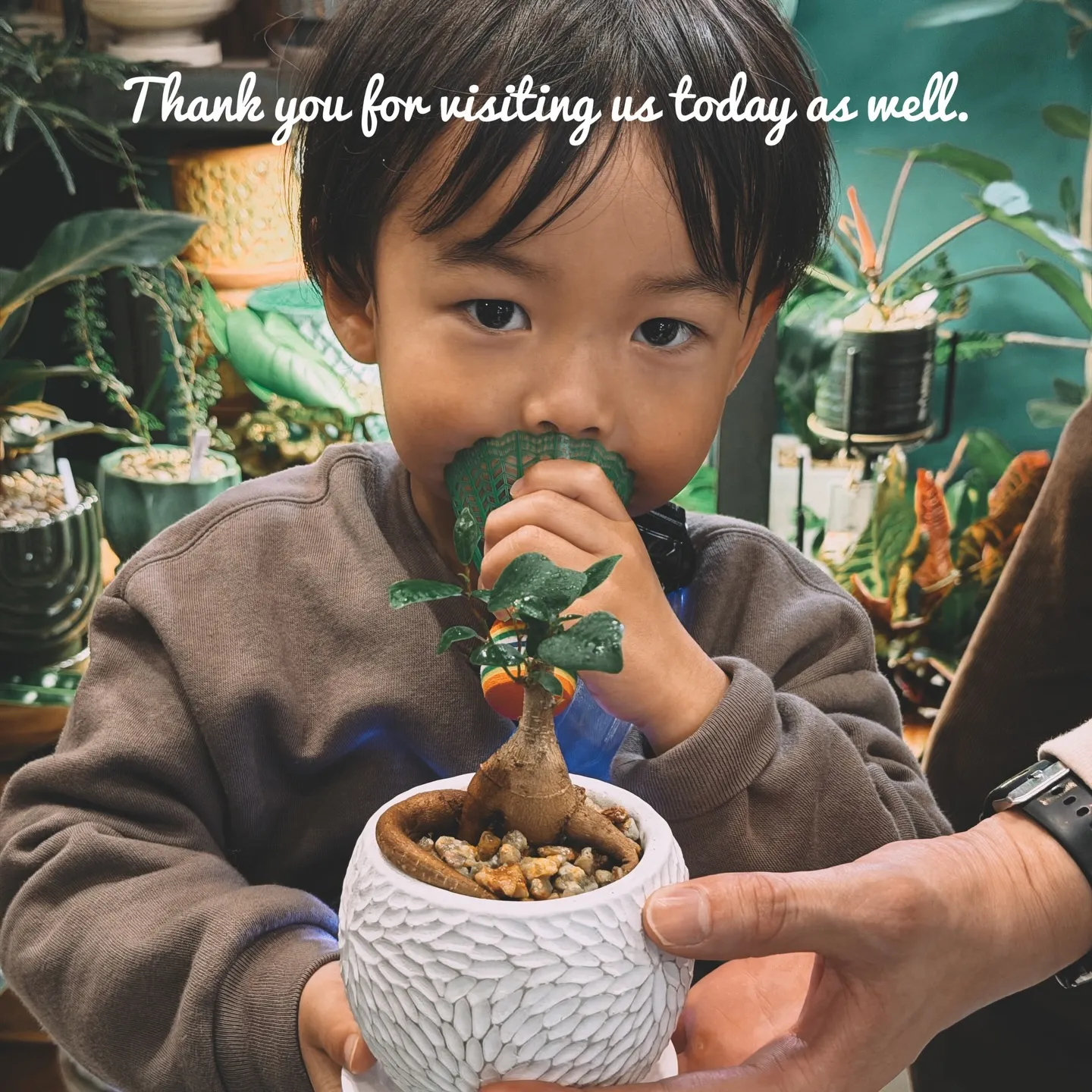 -New Plants Added to the Onlin...