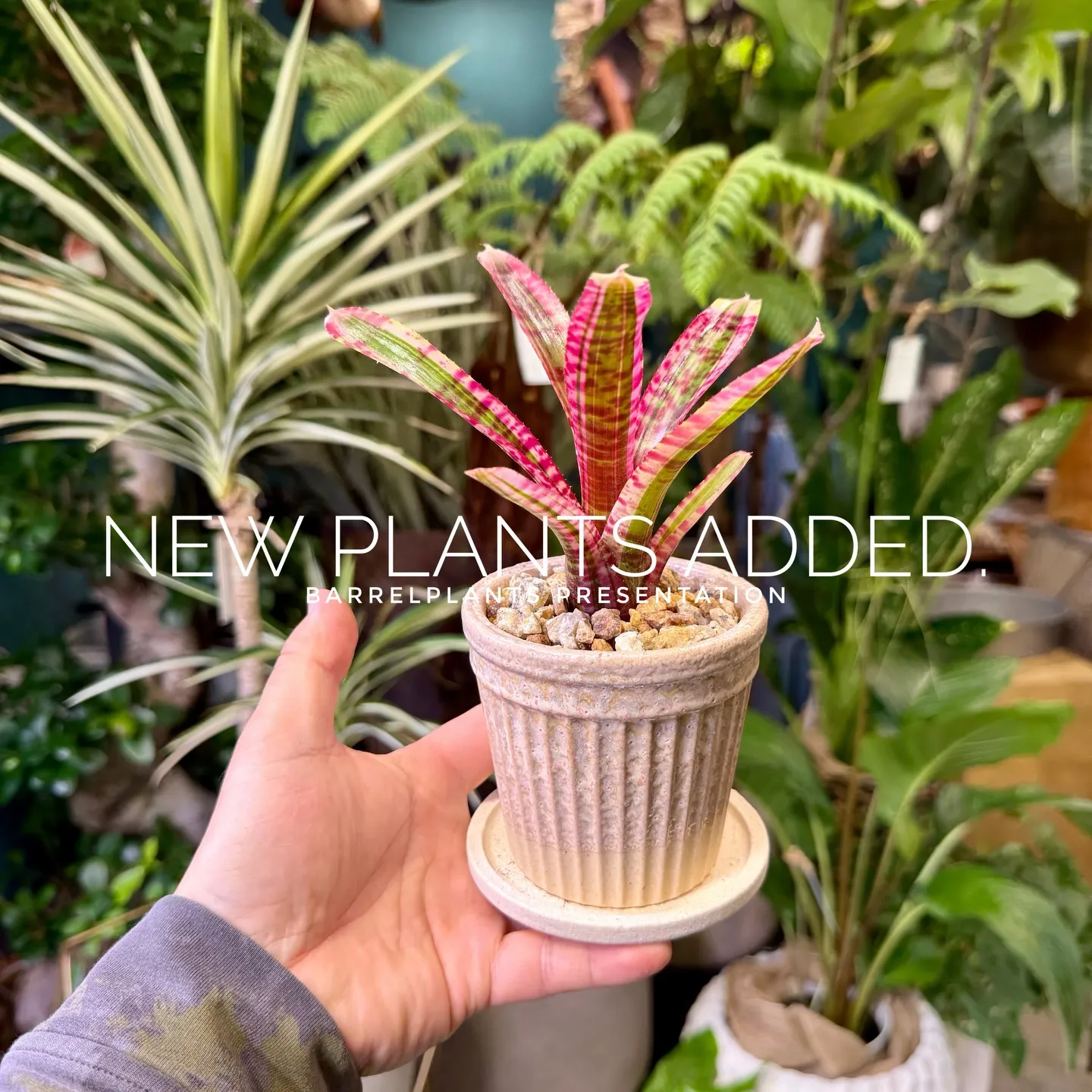 -New Plants Added to the Onlin...