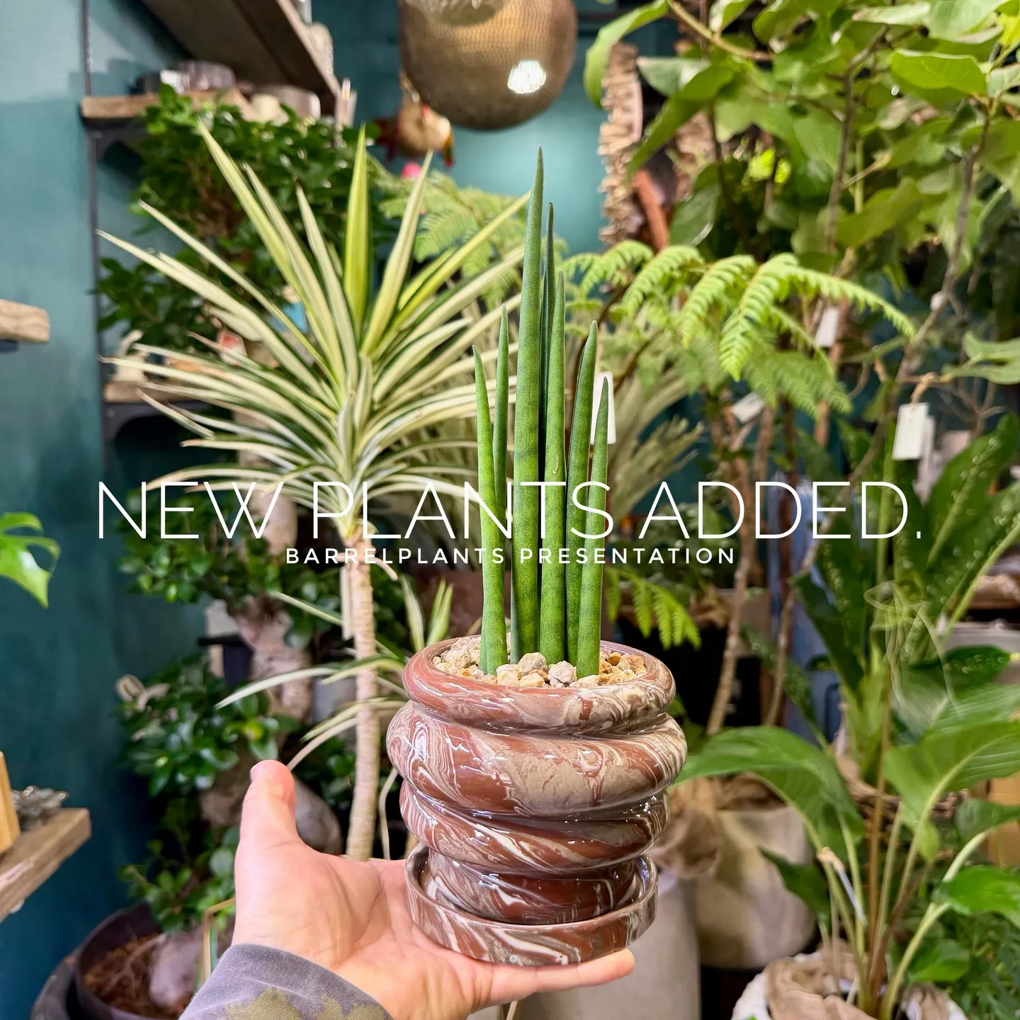 -New Plants Added to the Onlin...