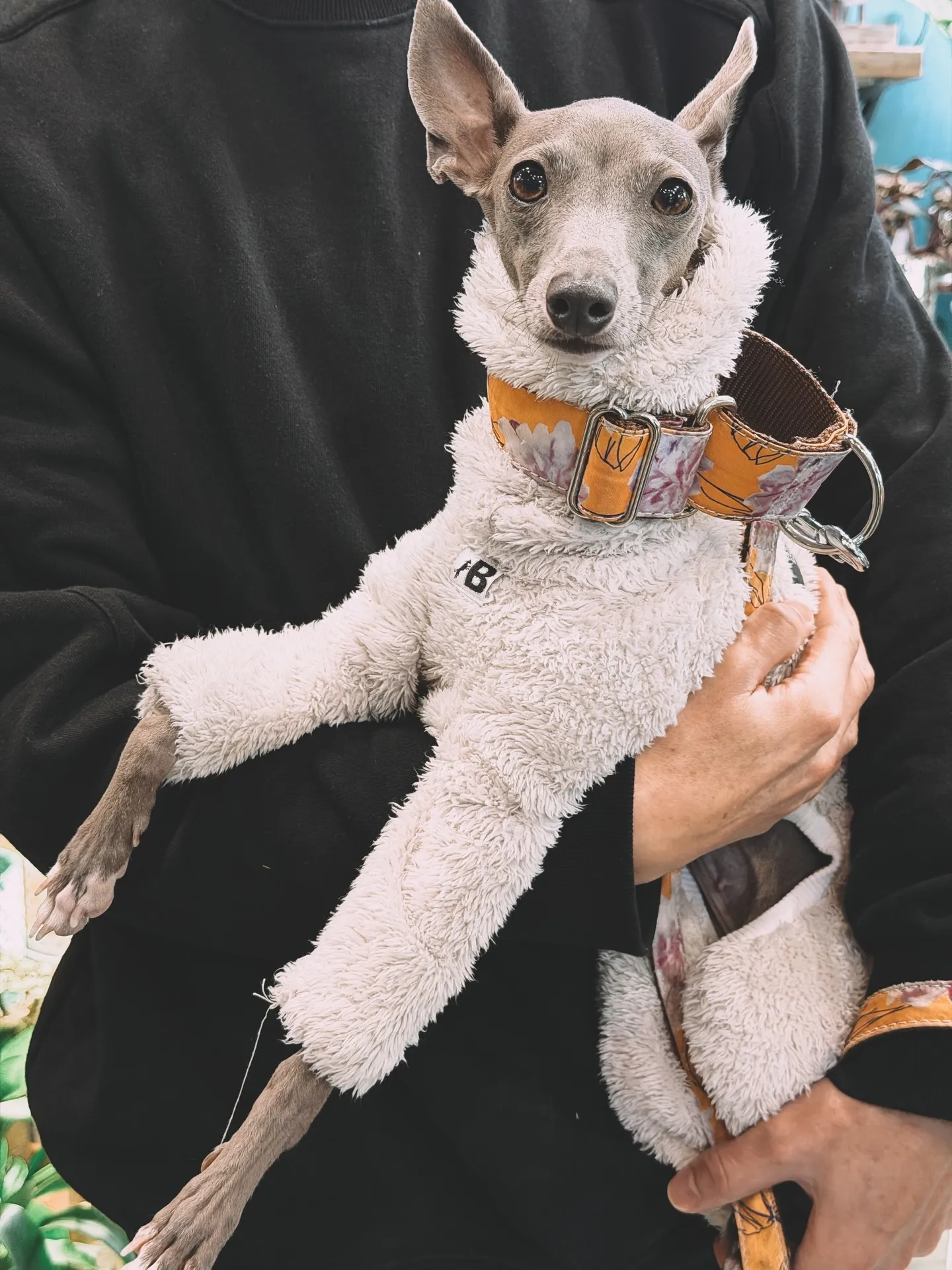 「ここに来ると、なんだか幸せになる。