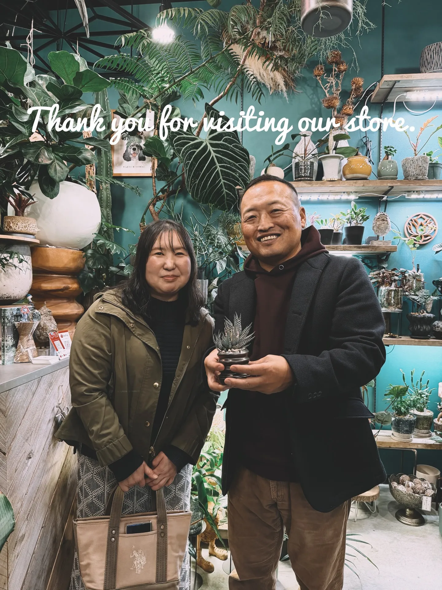 光と暮らす、植物のある部屋