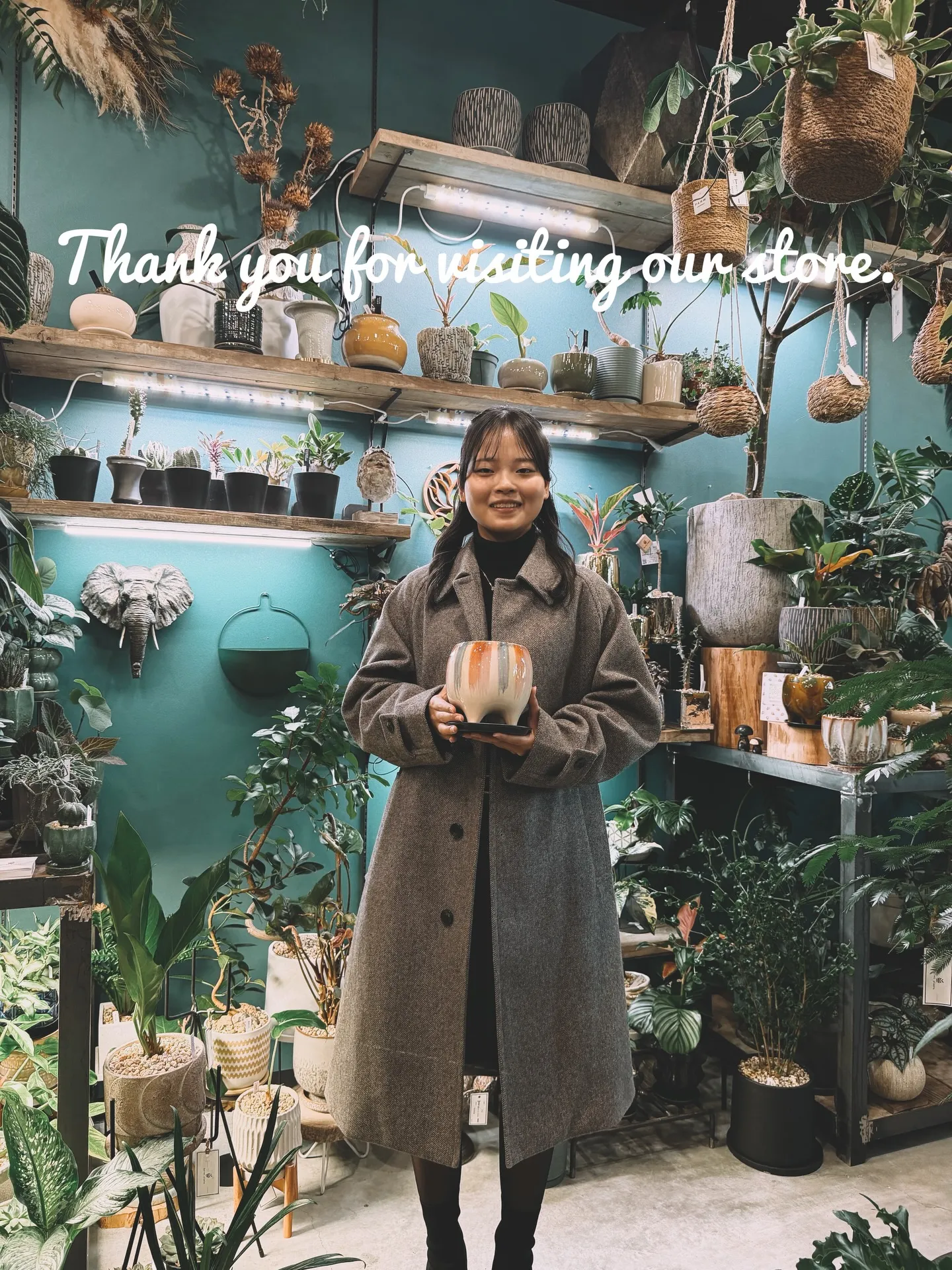 光と暮らす、植物のある部屋