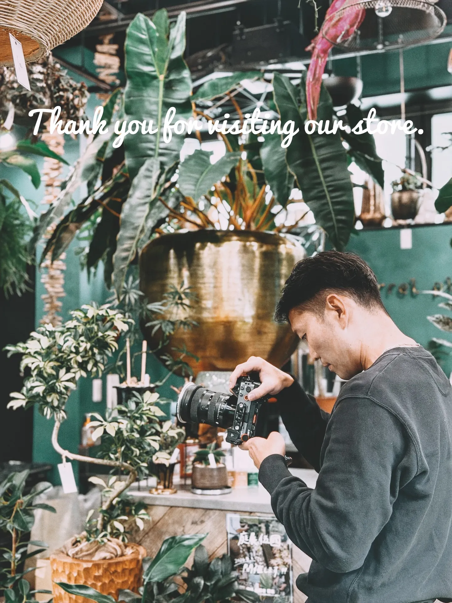 光と暮らす、植物のある部屋