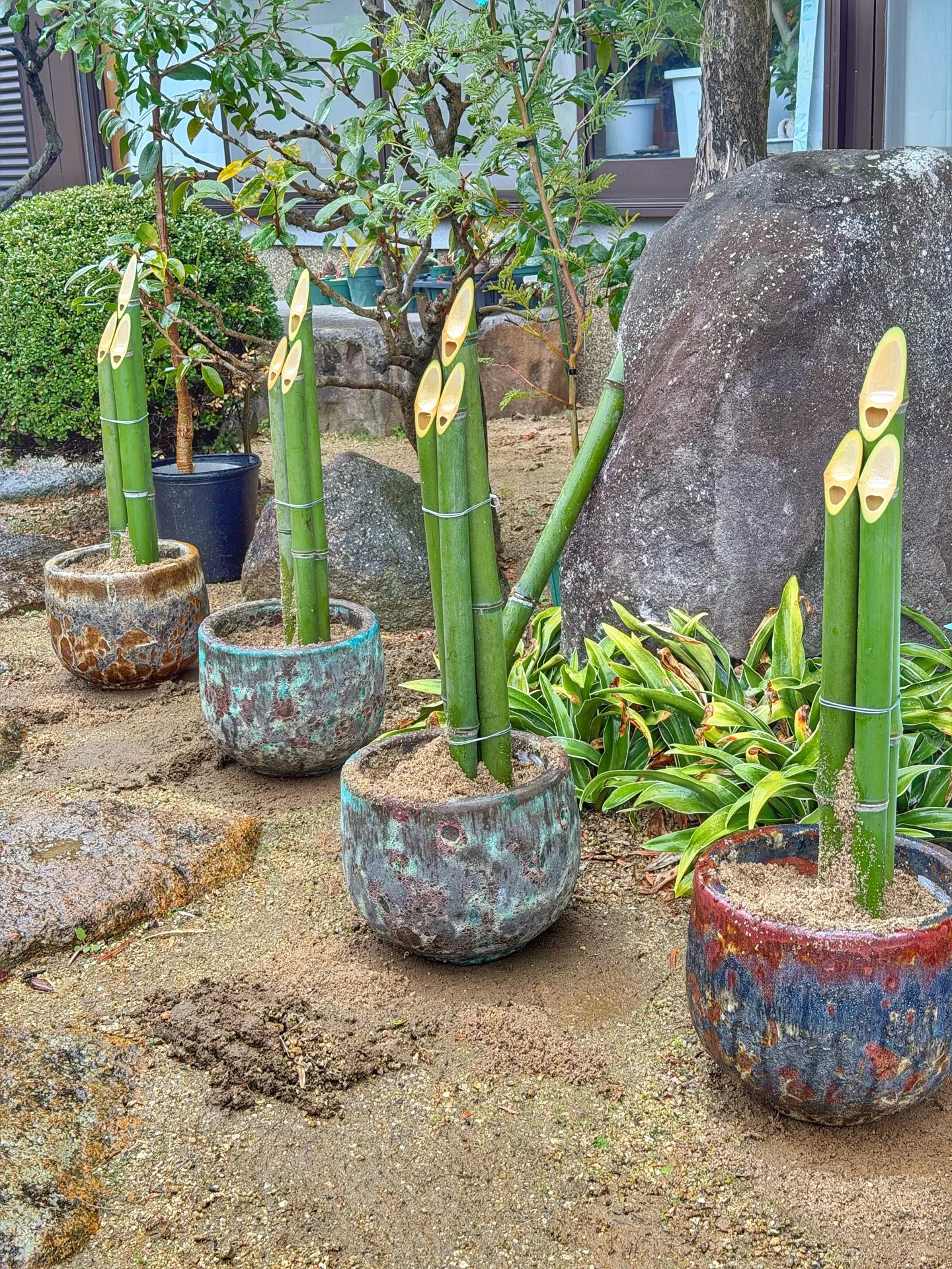 BARRELPLANTS オリジナル門松完成🎍