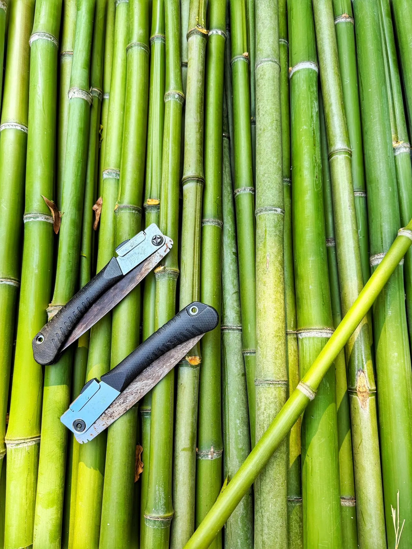 BARRELPLANTS オリジナル門松完成🎍