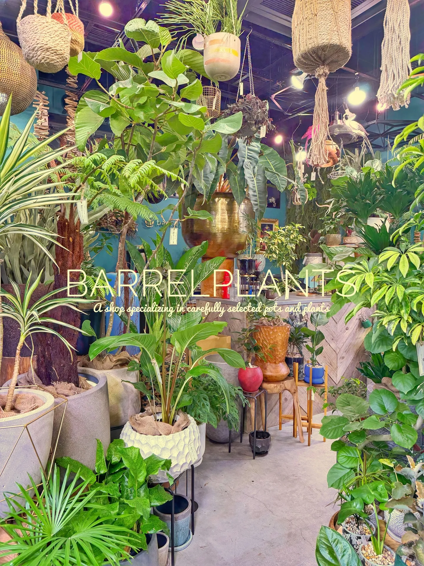 「緑に包まれるひととき。