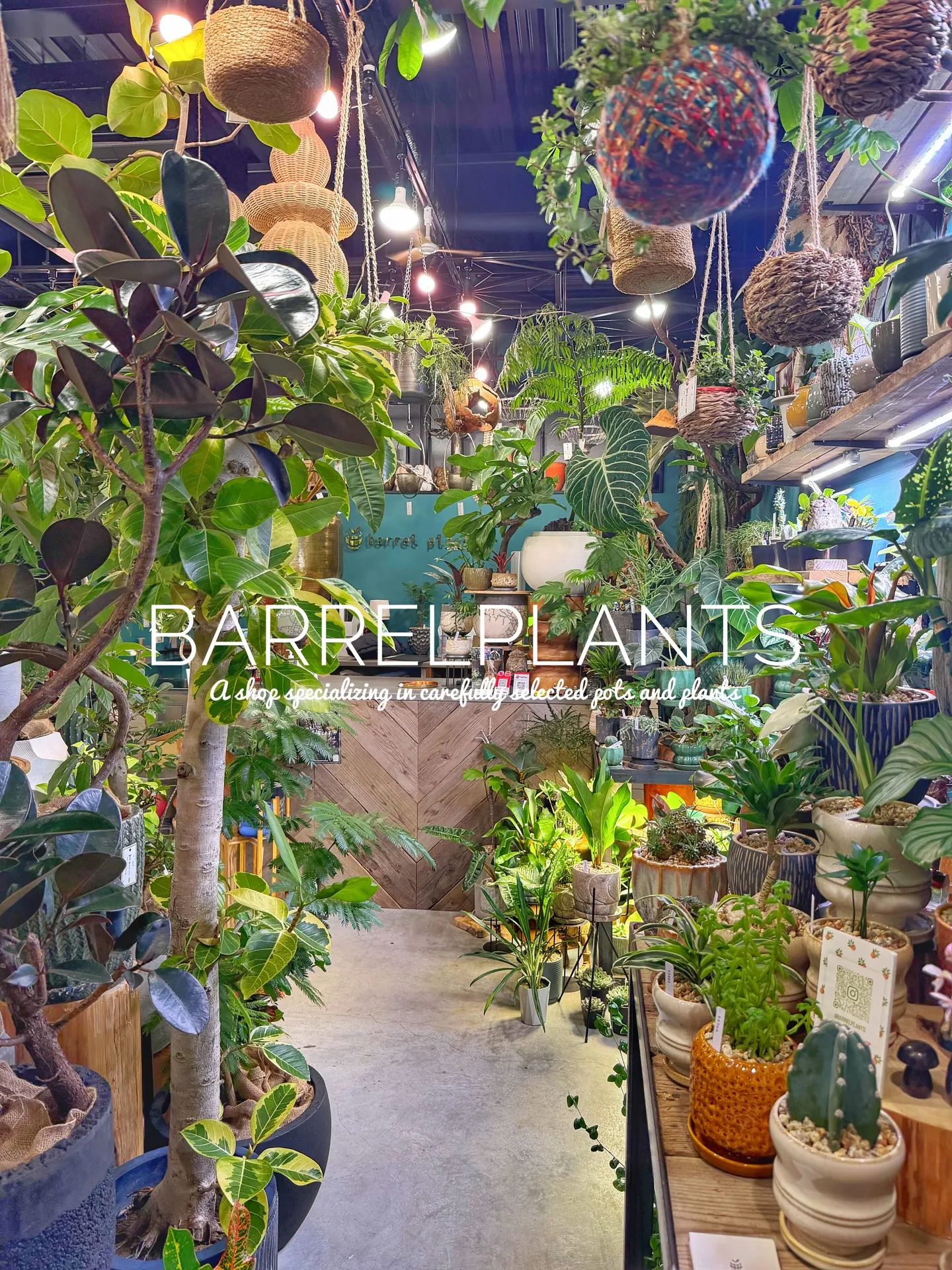 「緑に包まれるひととき。