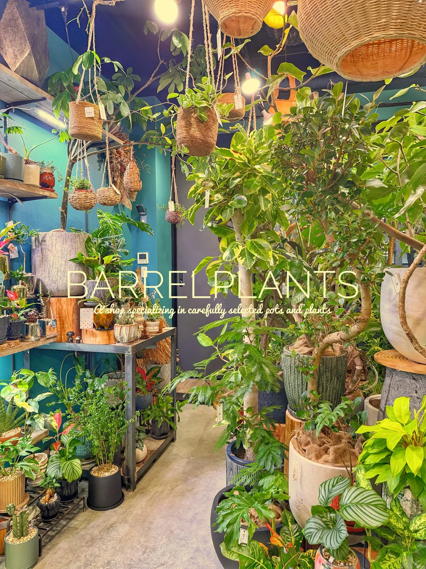 「緑に包まれるひととき。