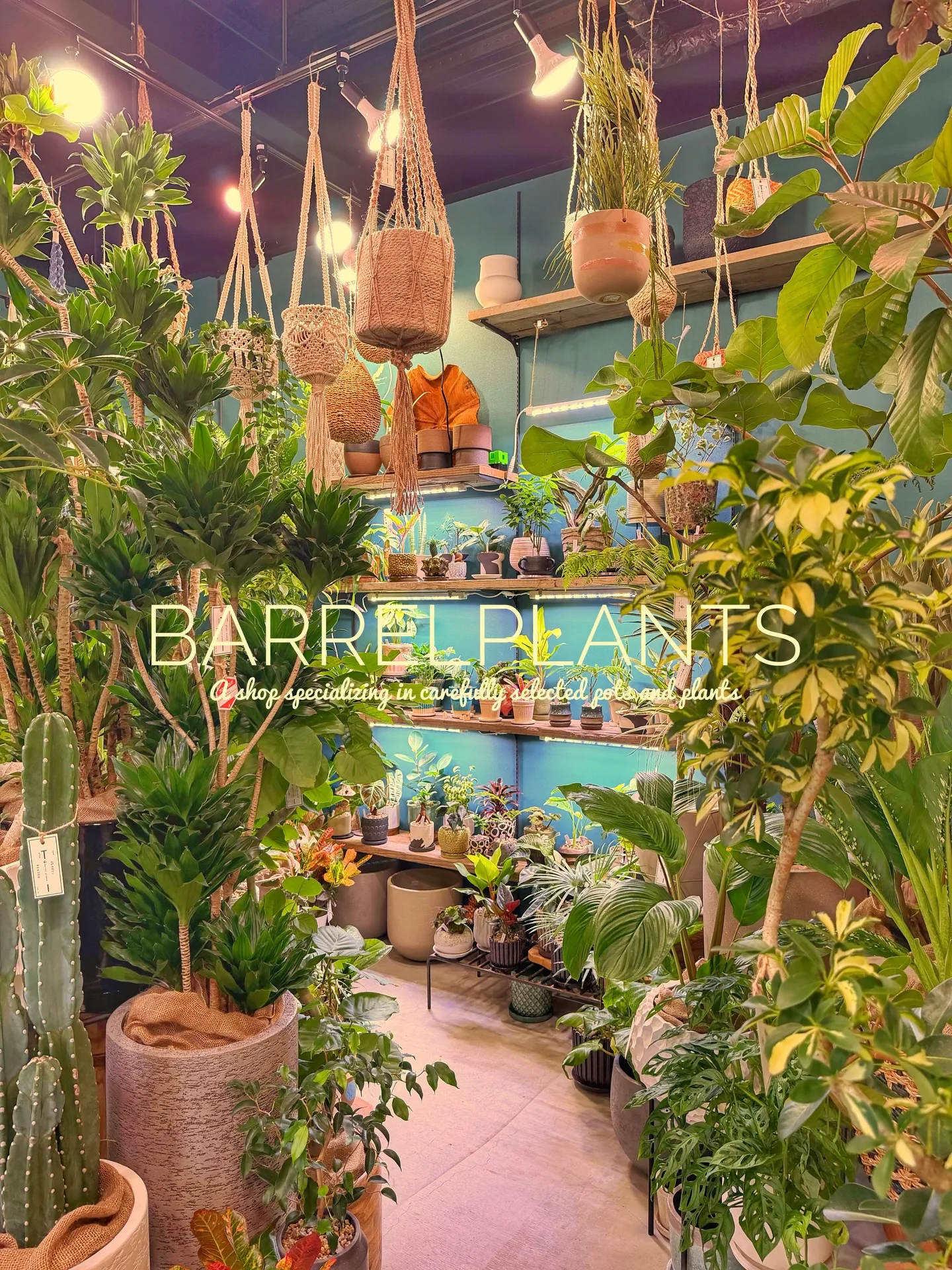 「緑に包まれるひととき。