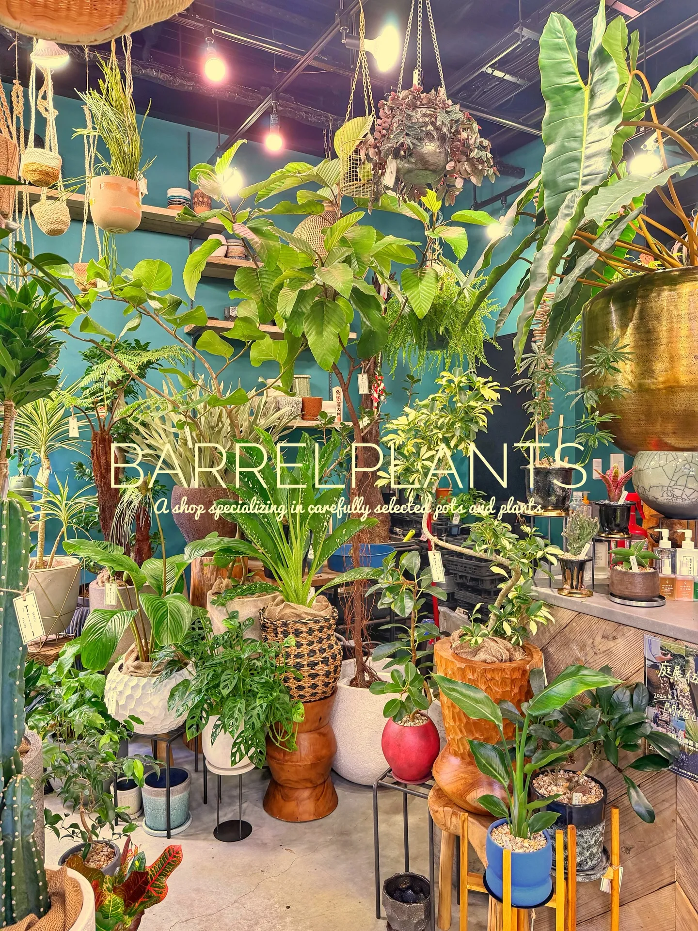 「緑に包まれるひととき。