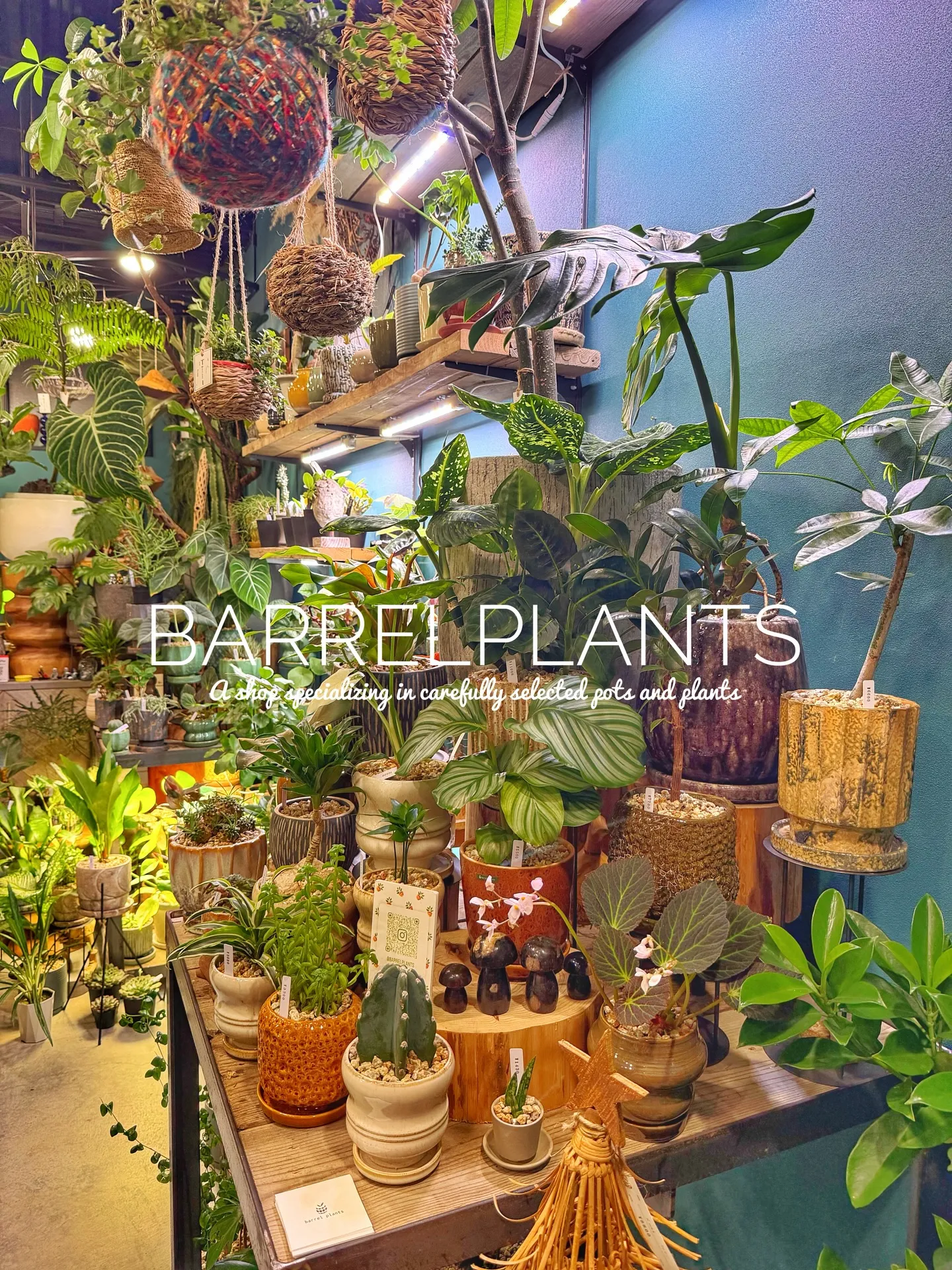 「緑に包まれるひととき。