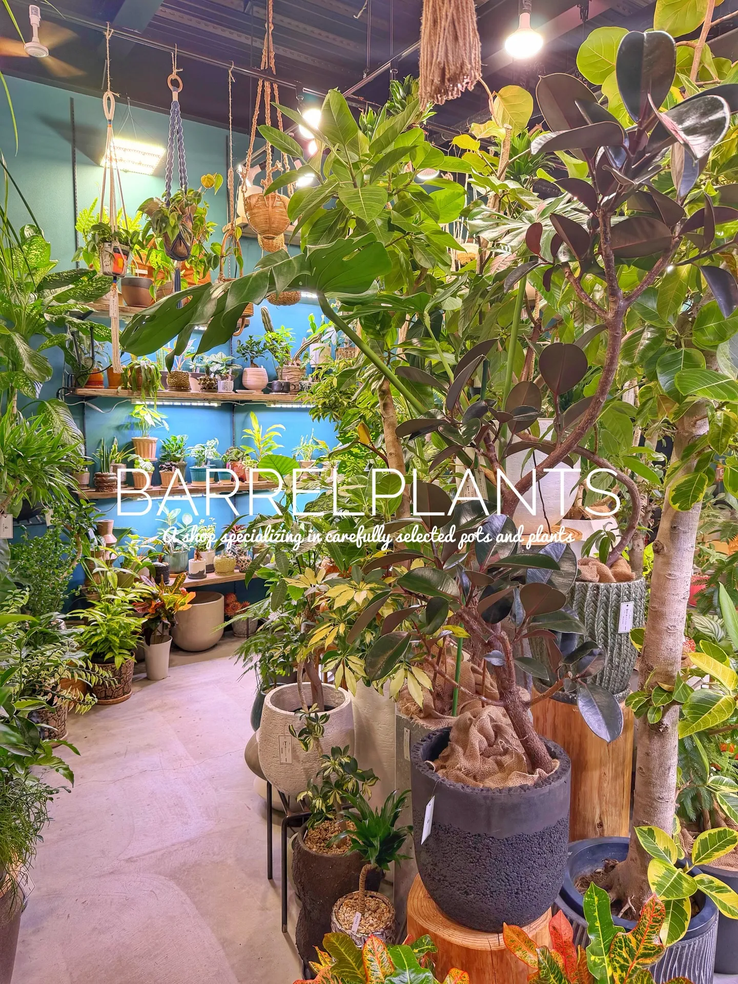 「緑に包まれるひととき。