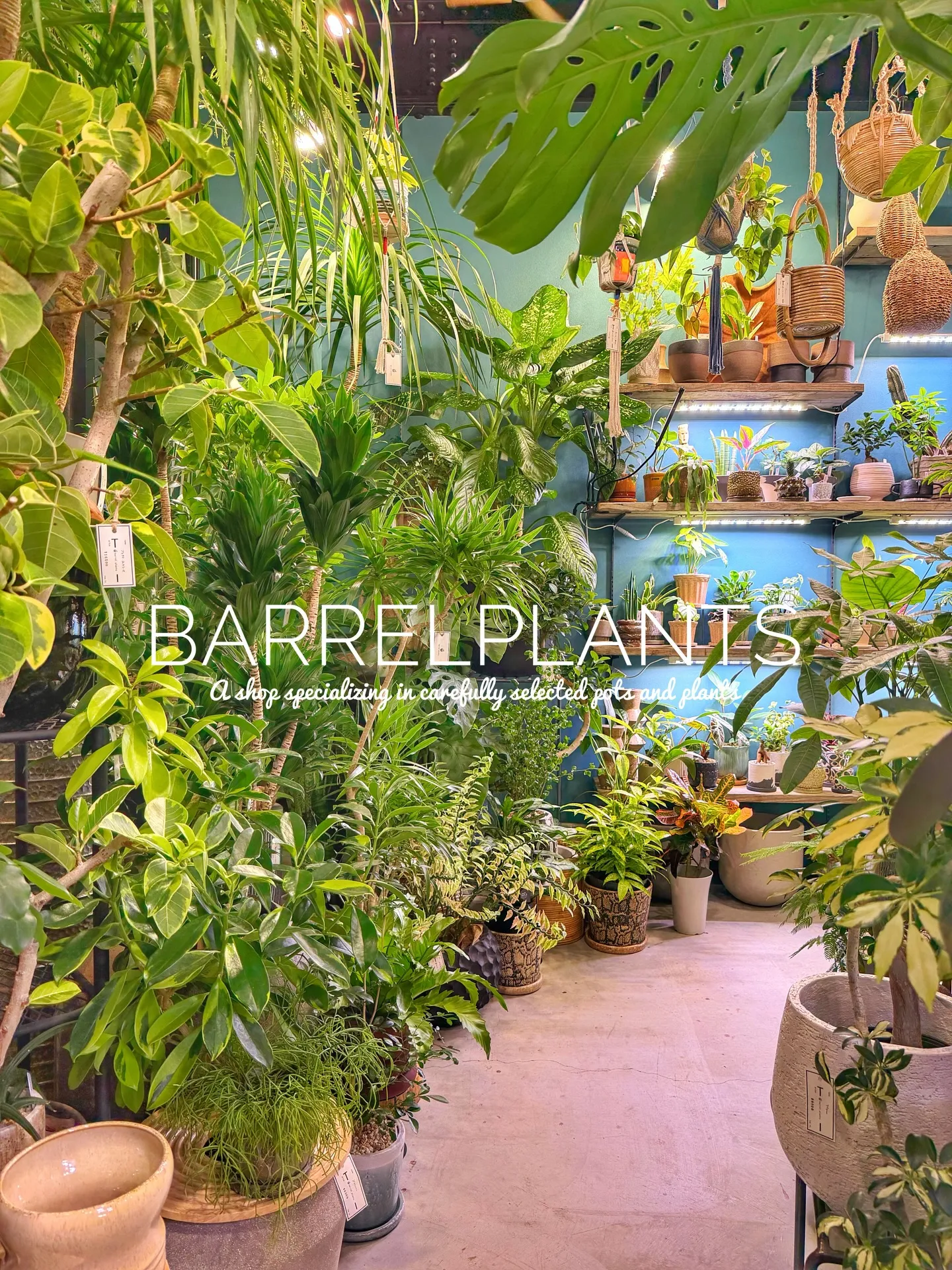 「緑に包まれるひととき。